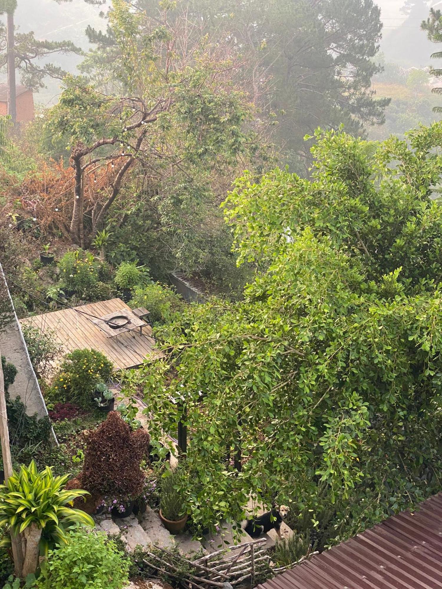 Homestay Memories - Pho Suong Mo