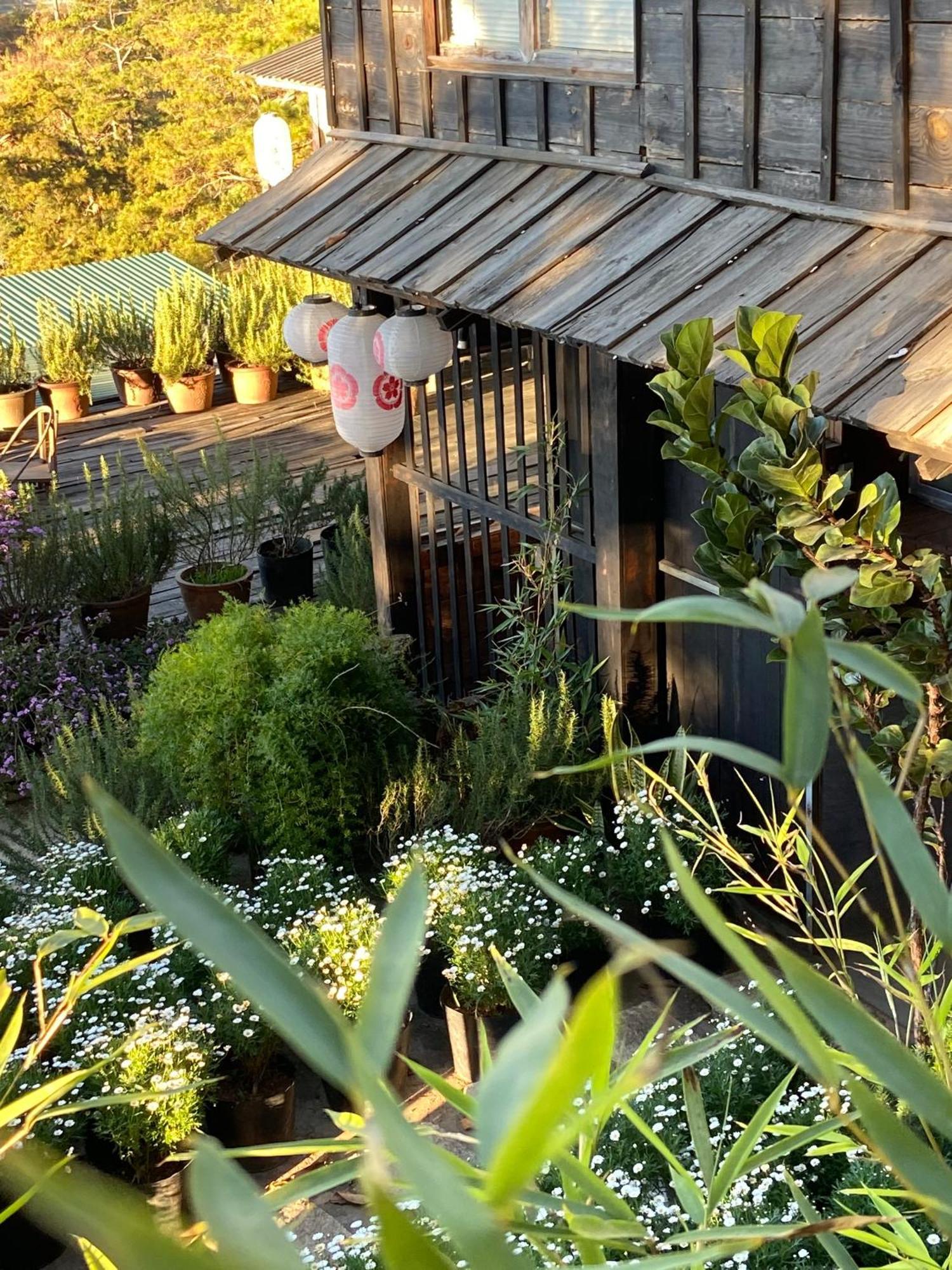 Homestay Memories - Pho Suong Mo Da Lat
