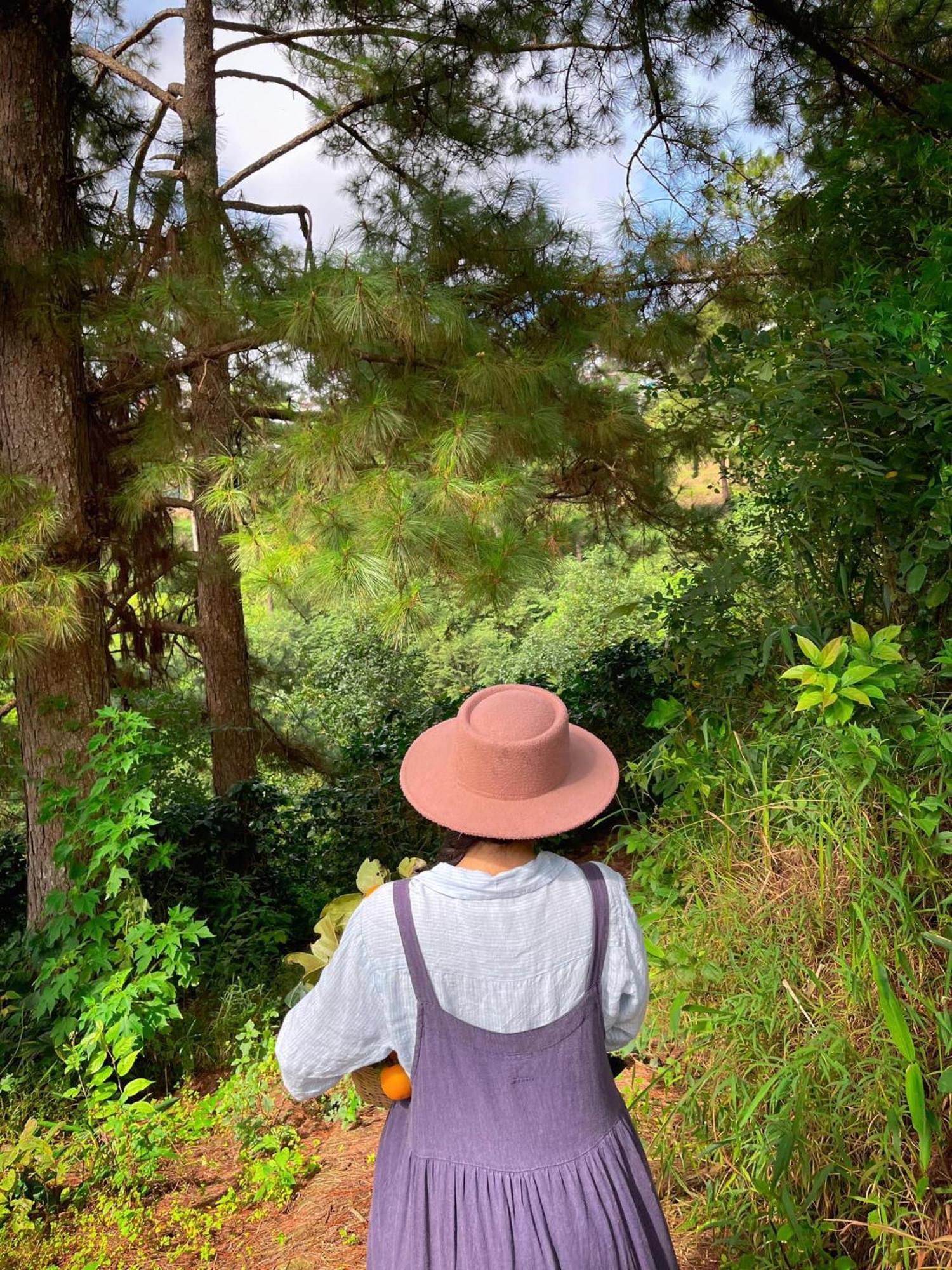 Memories - Pho Suong Mo Da Lat