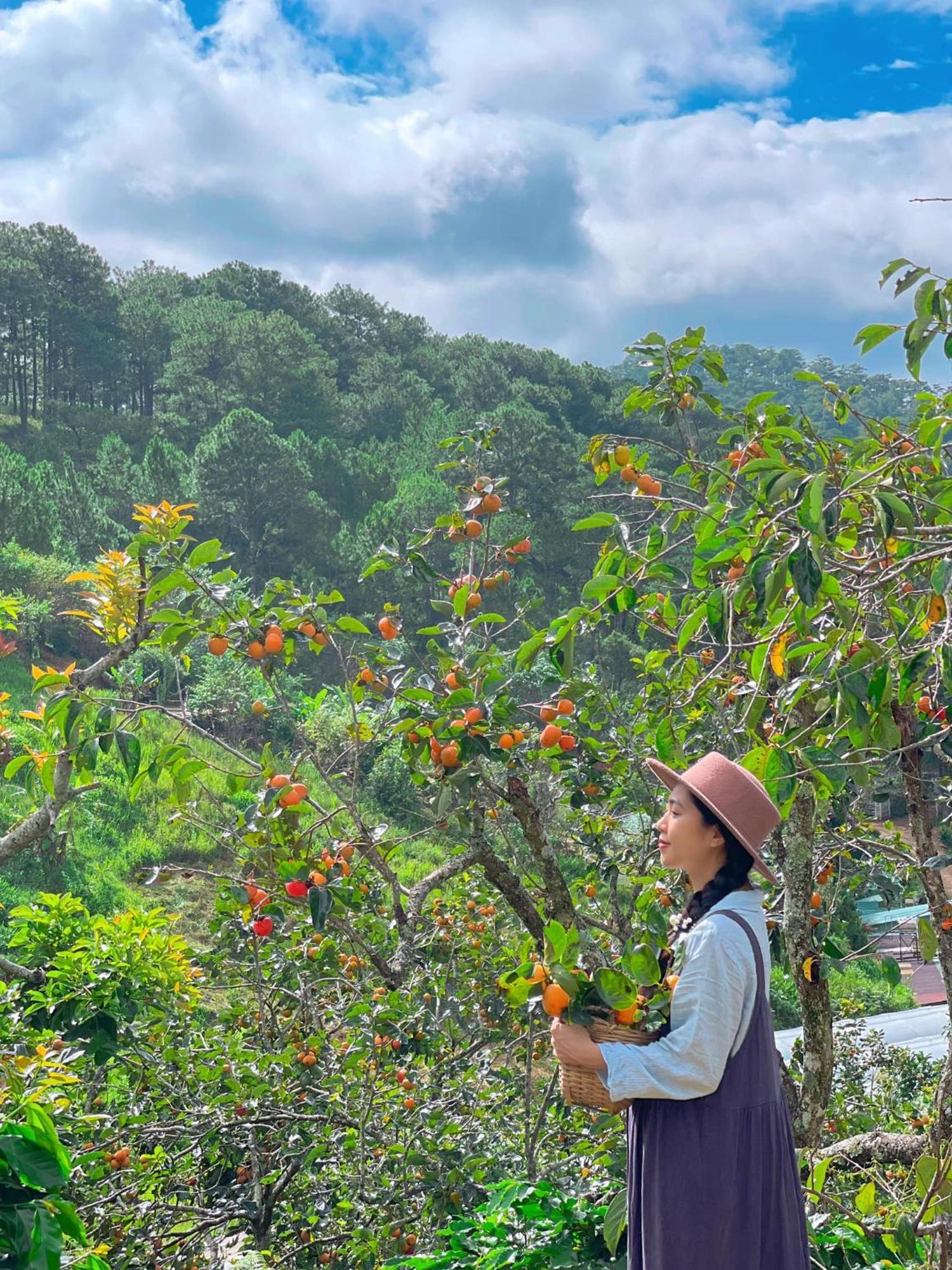 Memories - Pho Suong Mo * Da Lat