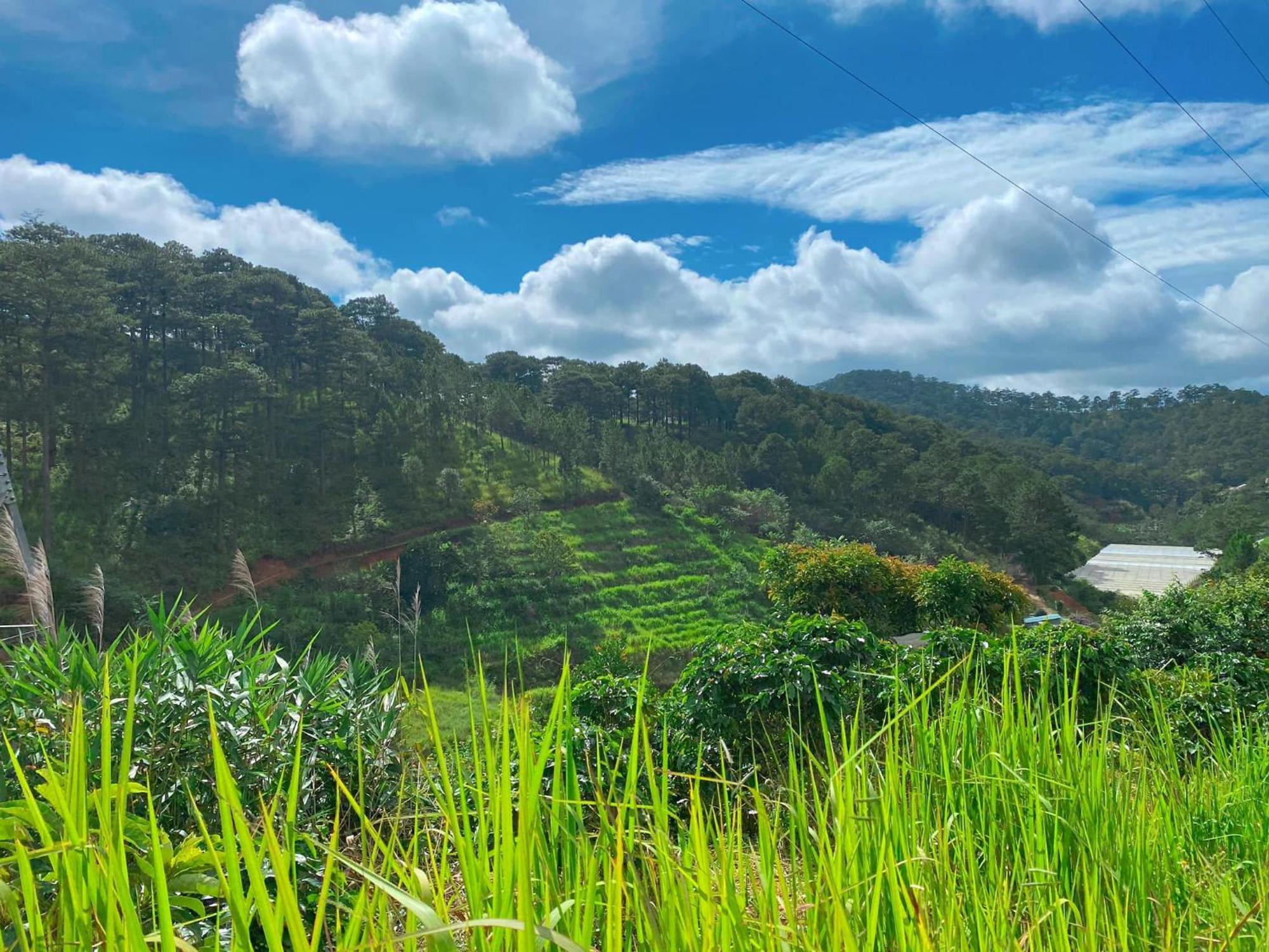 Homestay Memories - Pho Suong Mo