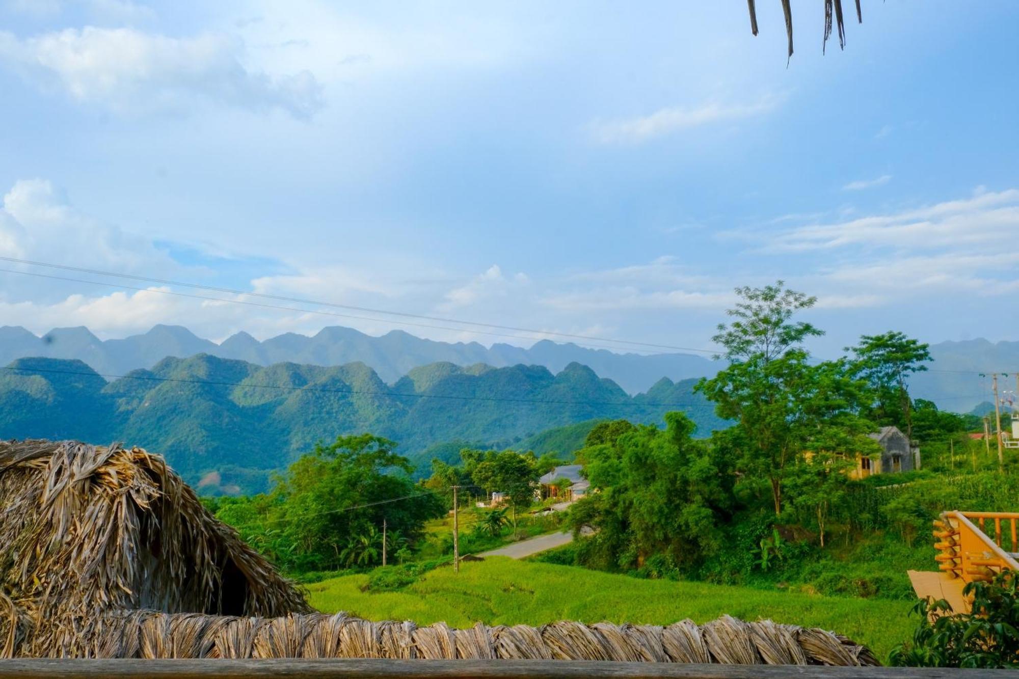 Resort Jungle