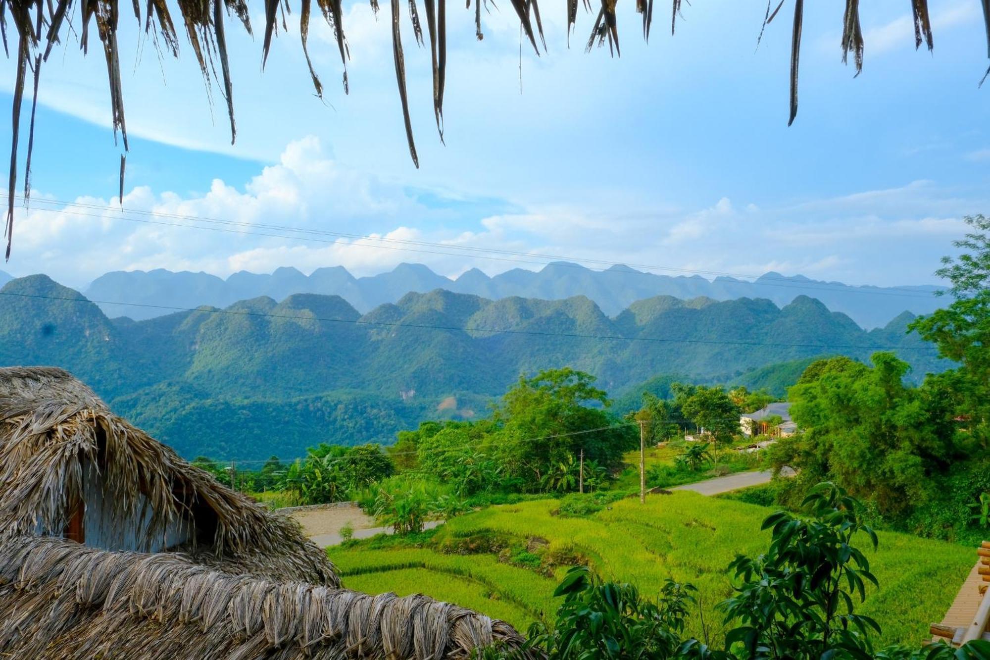 Jungle Pu Luong