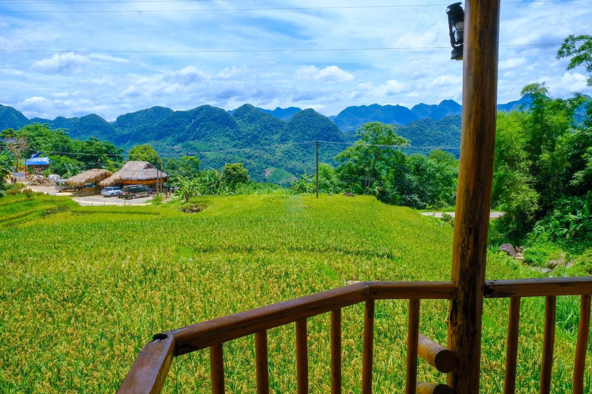 Resort Jungle