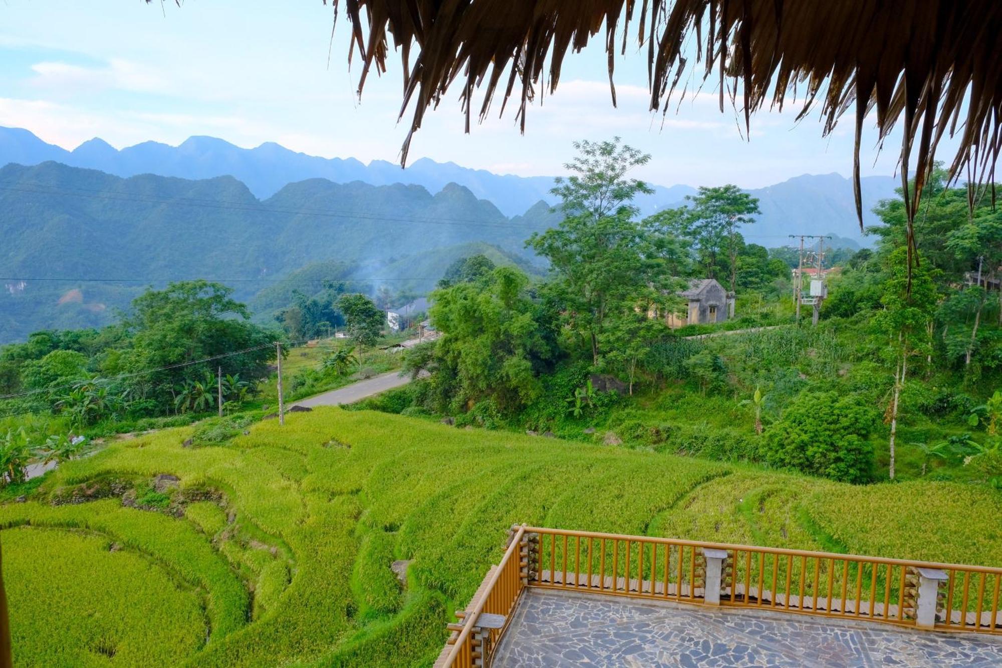 Resort Jungle Pu Luong