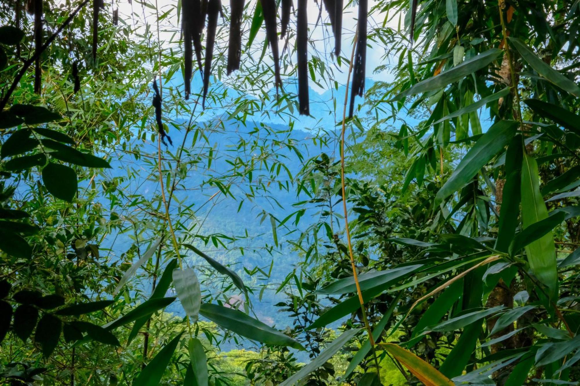 Jungle 4* Pu Luong