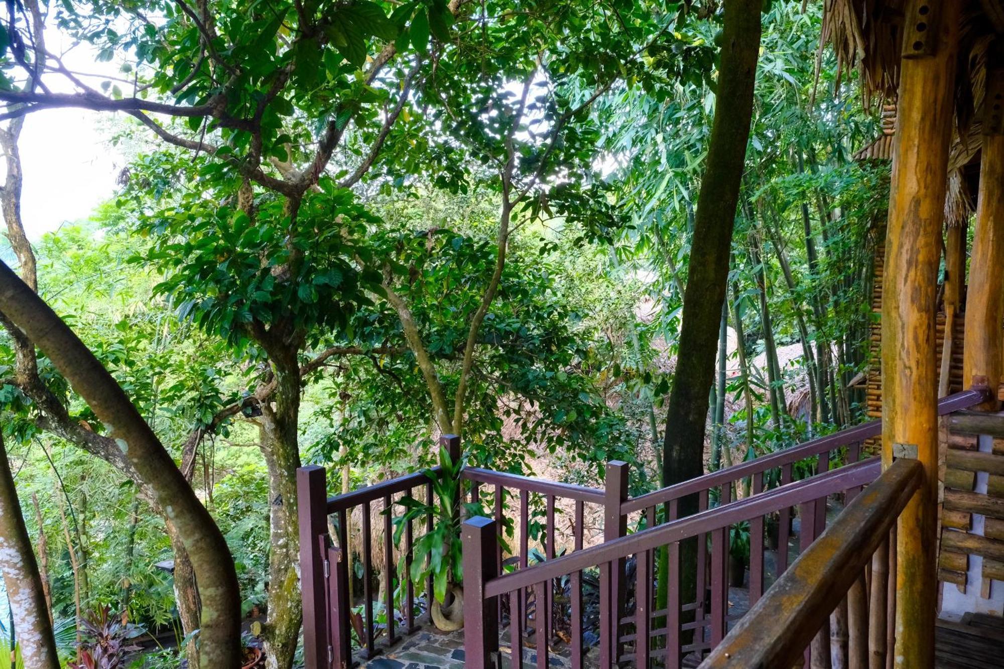 Resort Jungle Pu Luong