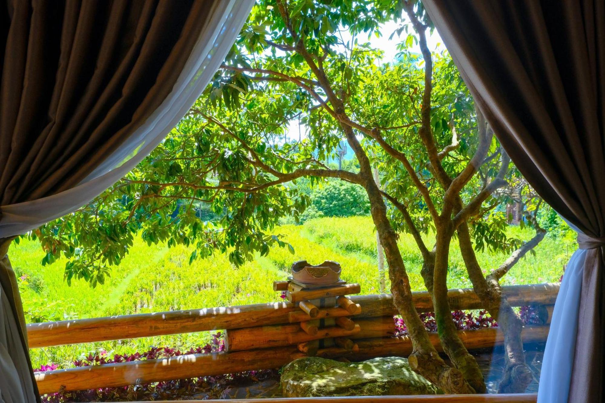 Jungle Resort 4*