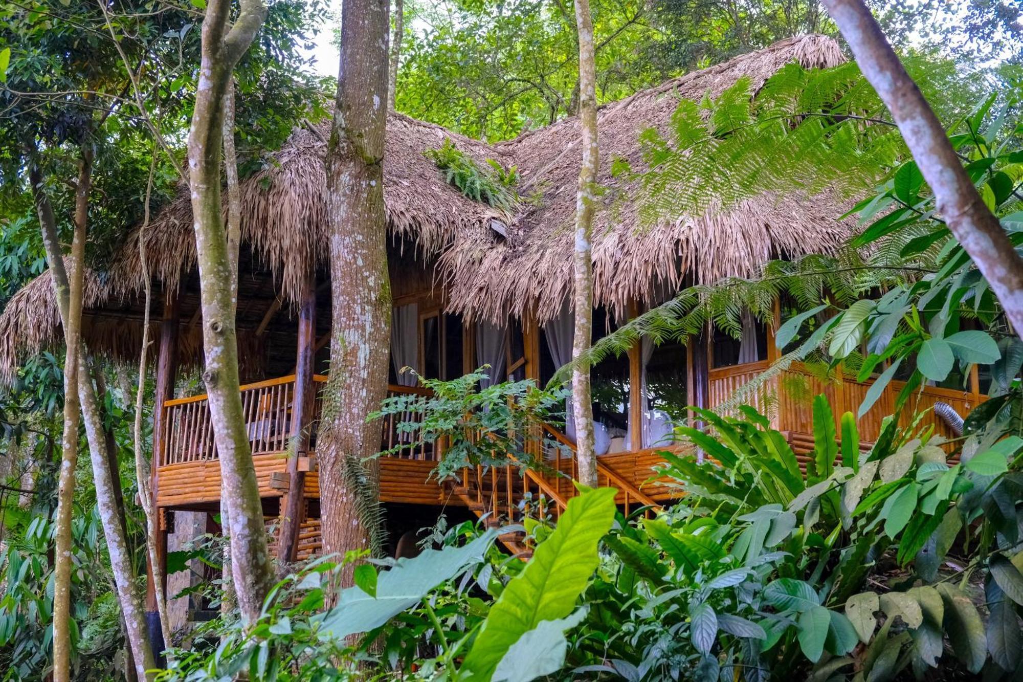 Jungle Pu Luong