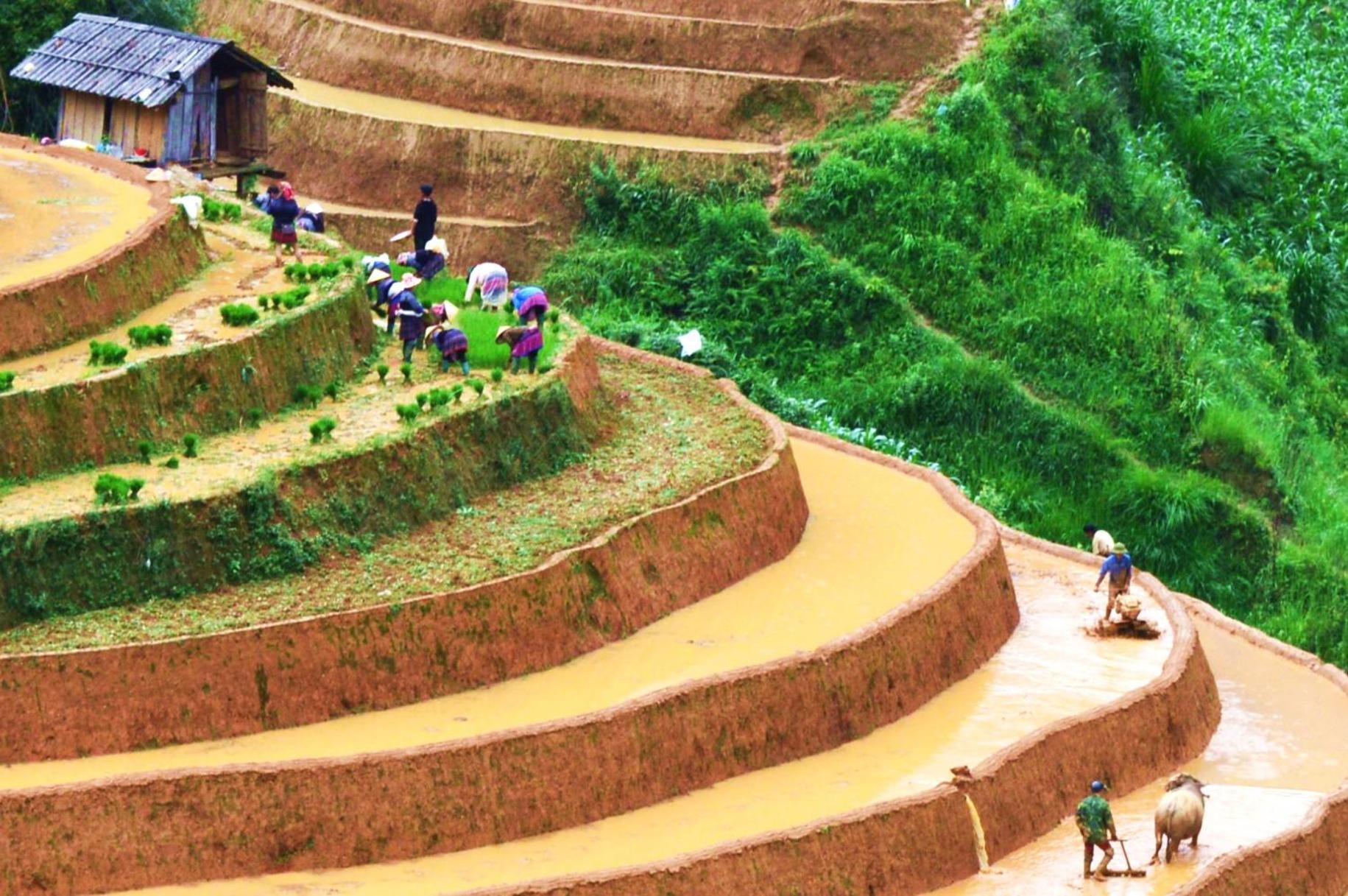 & Trekking Lodge Mu Cang Chai