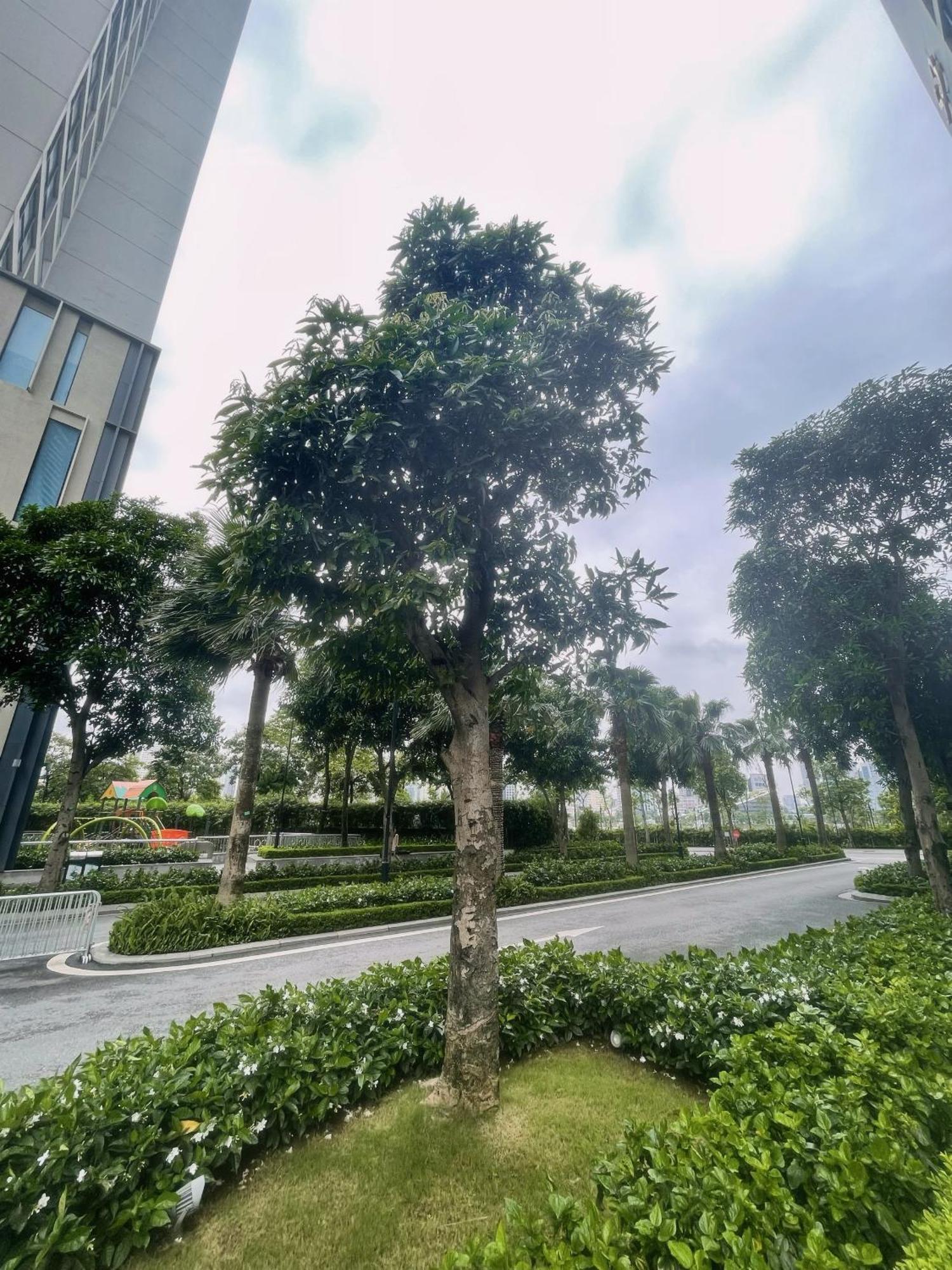 - Vinhomes Skylake - Luxury Services - Galaxyhouse