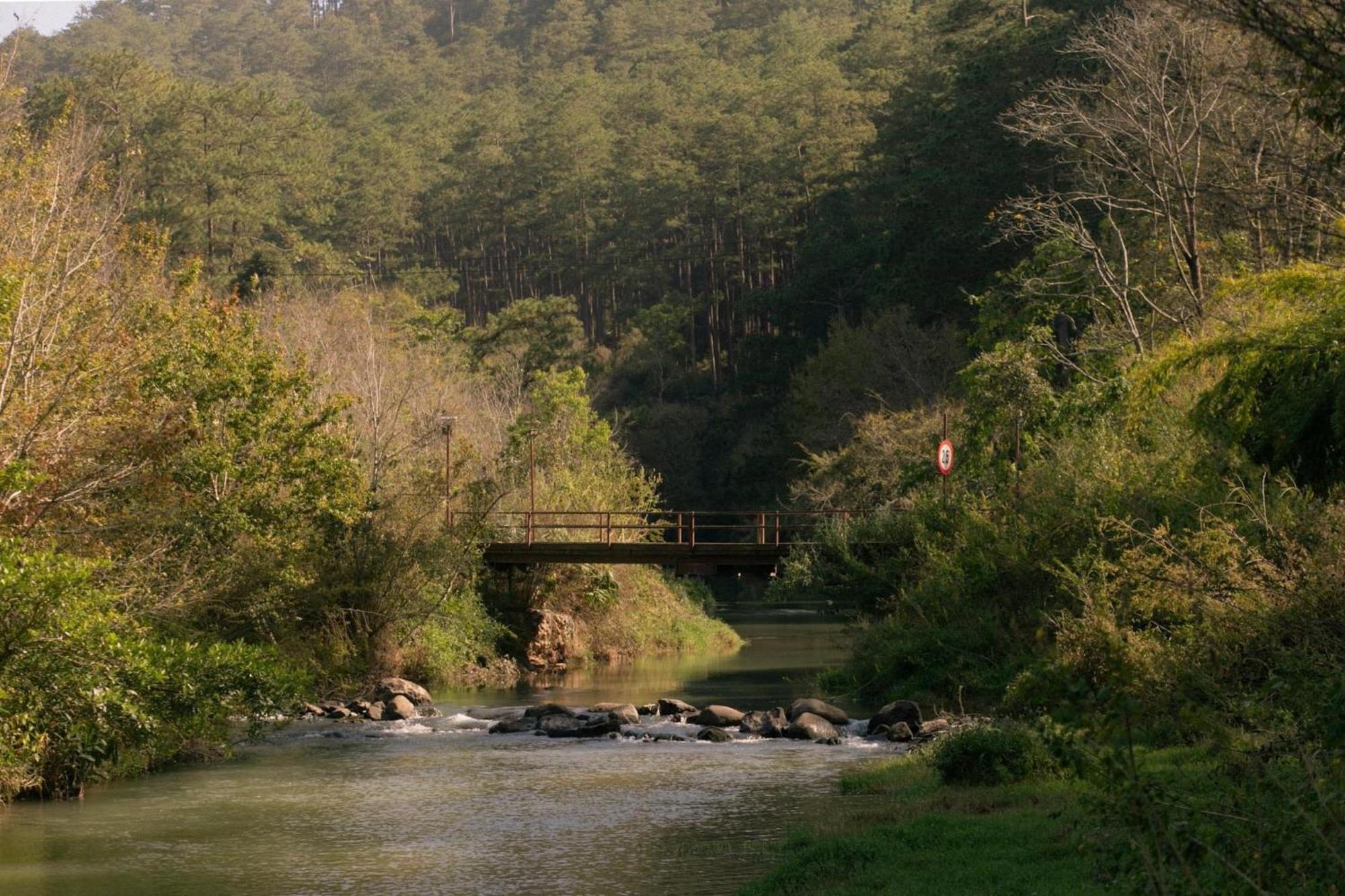 Villa Lang Tinh Mo - Da Lat Ap An Kroet