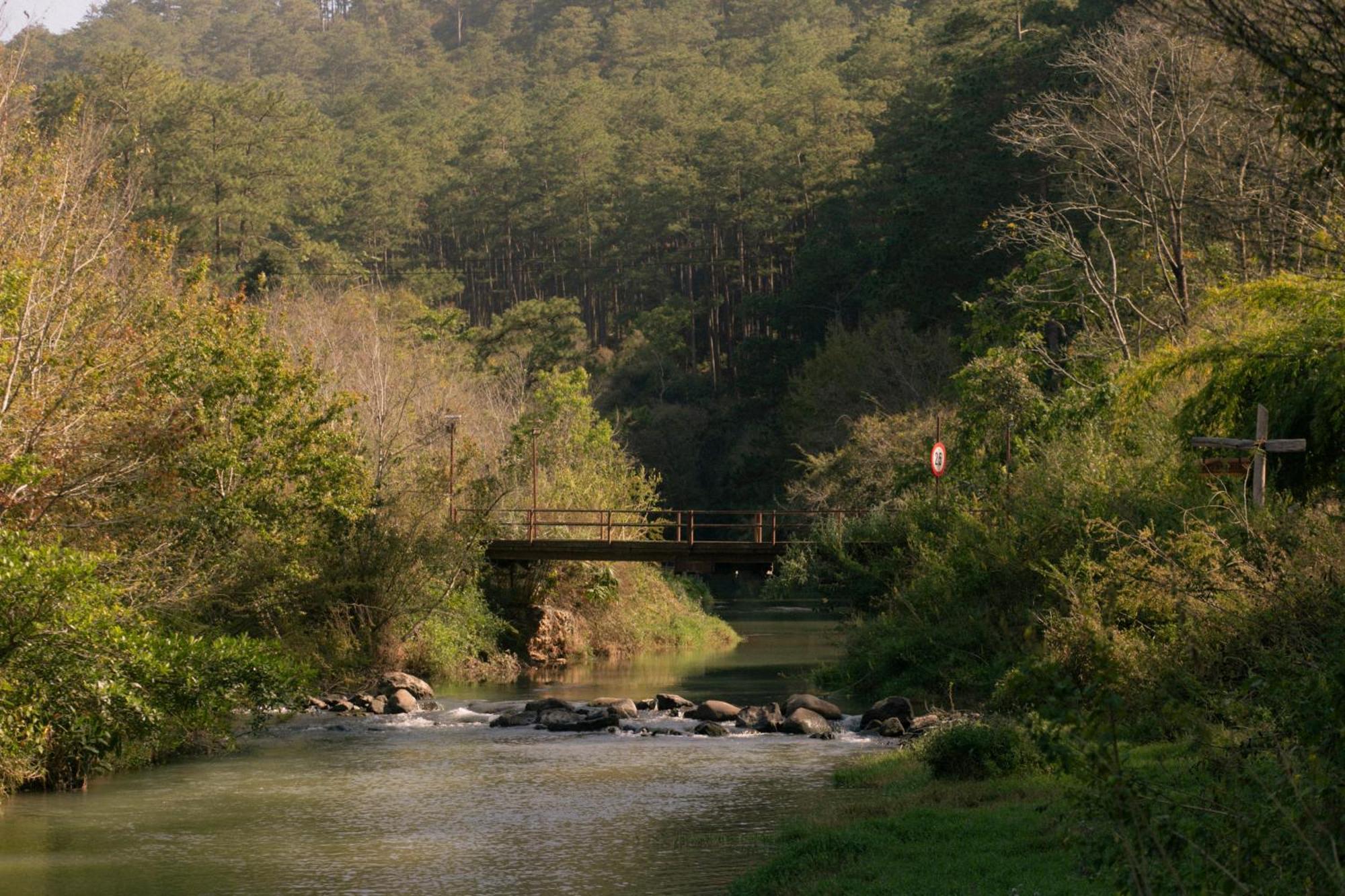Lang Tinh Mo - Da Lat * Ap An Kroet