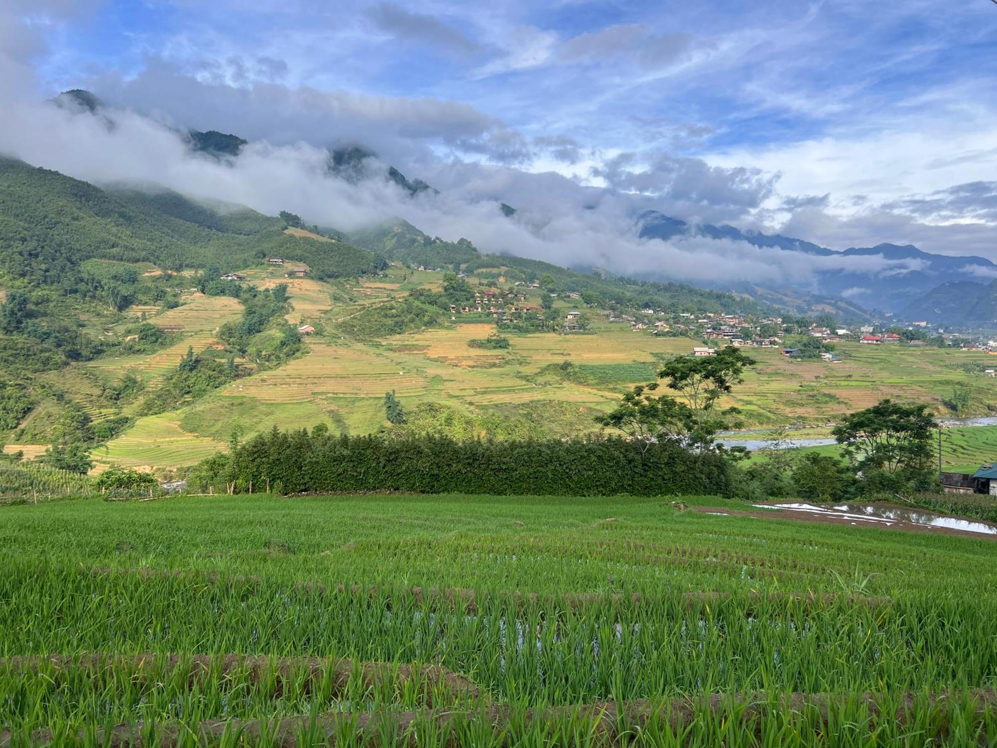 Ở trọ Pavi Garden *