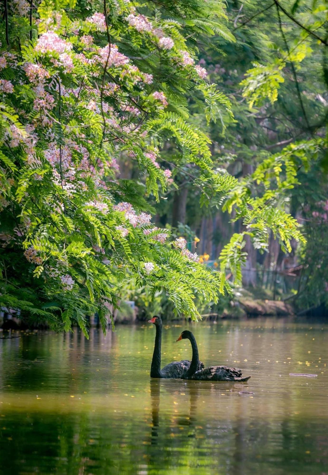 Căn hộ Ecopark Happy Haven *