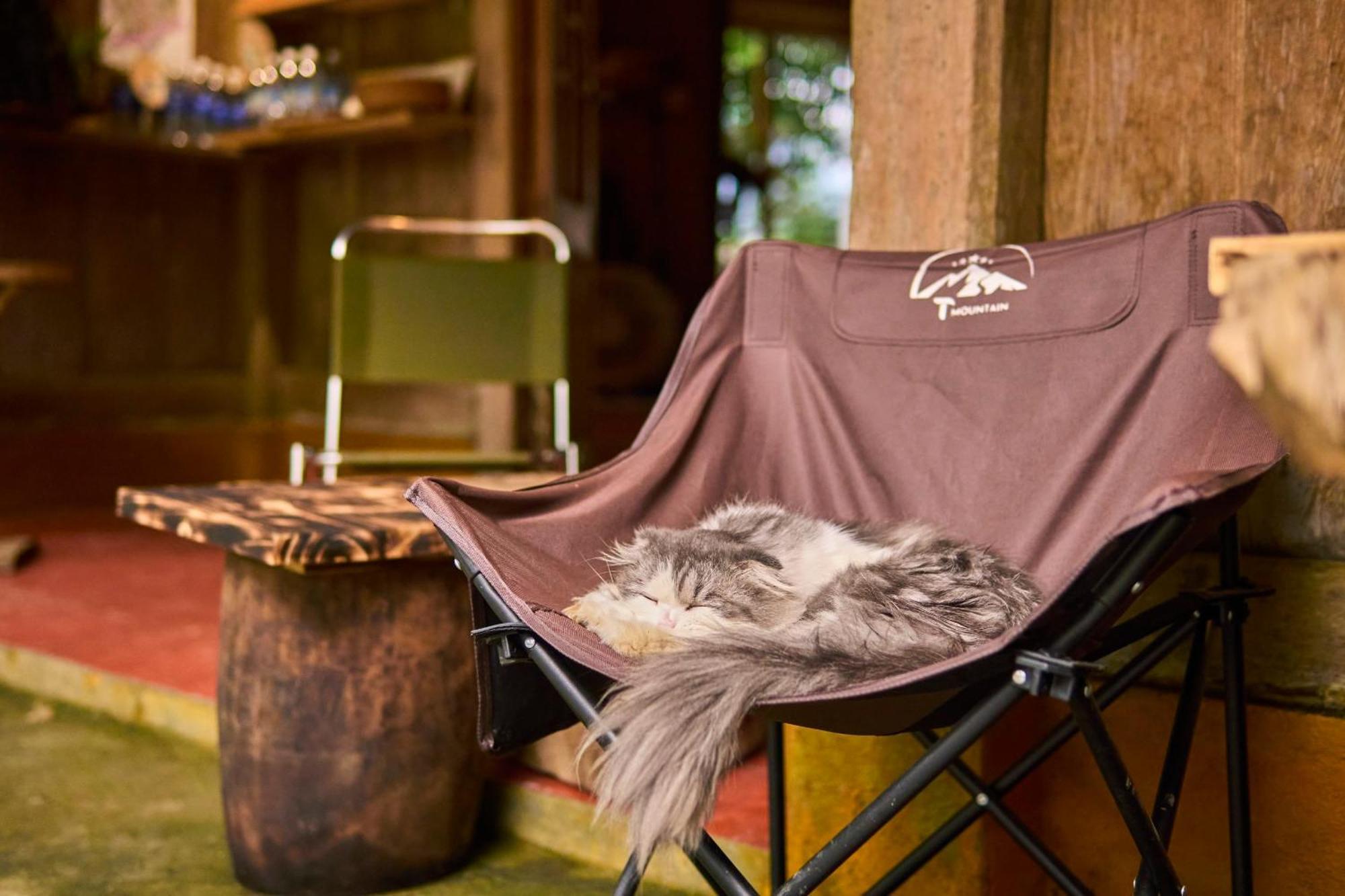 The Hermit Homestay