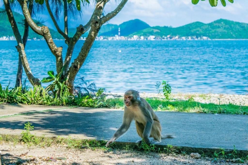 La 3* Nha Trang