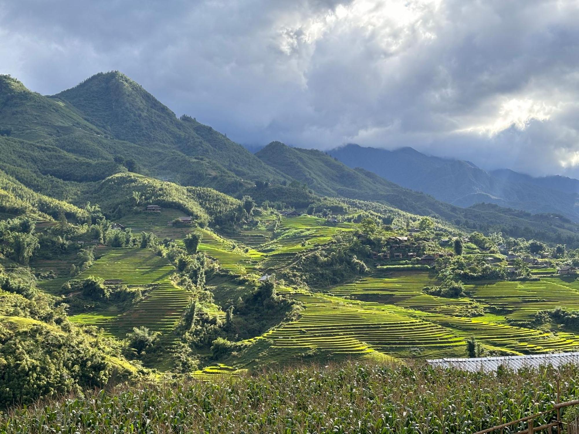 Tranquilla Sapa