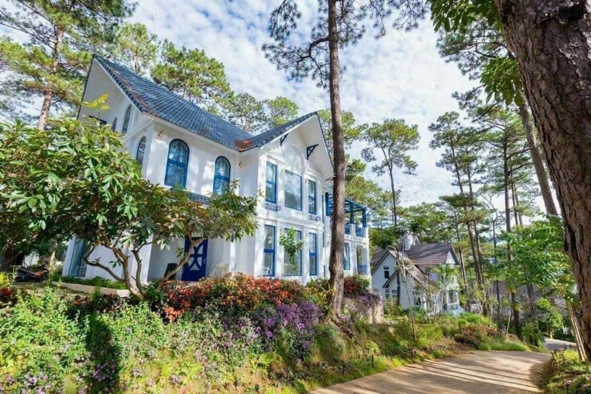Ho Tuyen Lam View Rung Thong Villa Da Lat