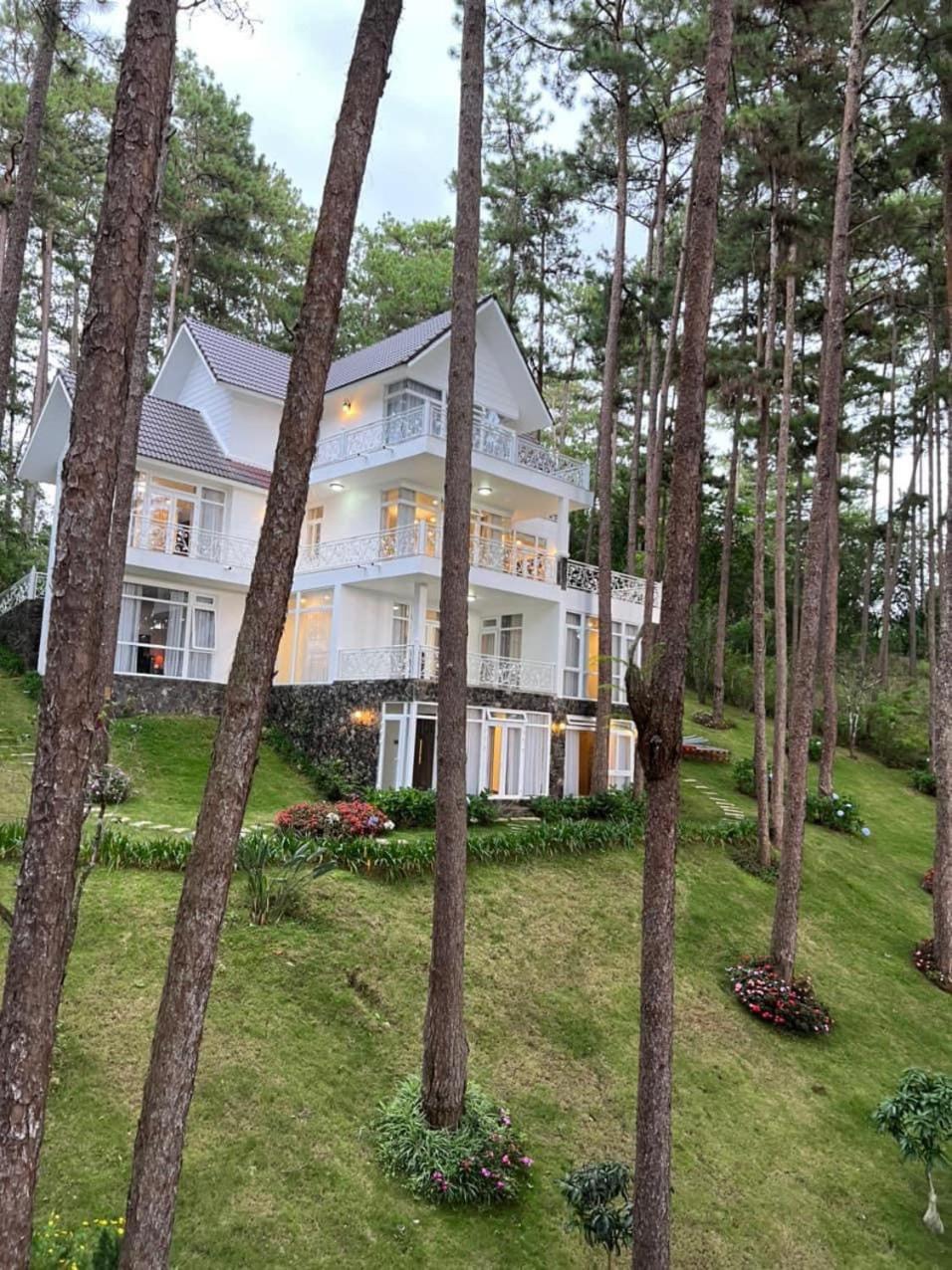 Villa Ho Tuyen Lam View Rung Thong Da Lat