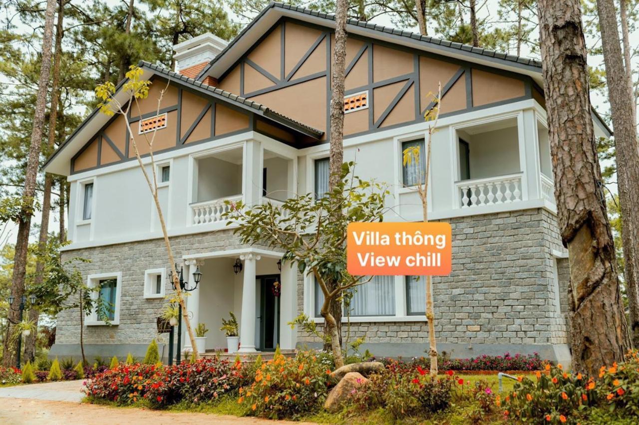 Ho Tuyen Lam View Rung Thong *