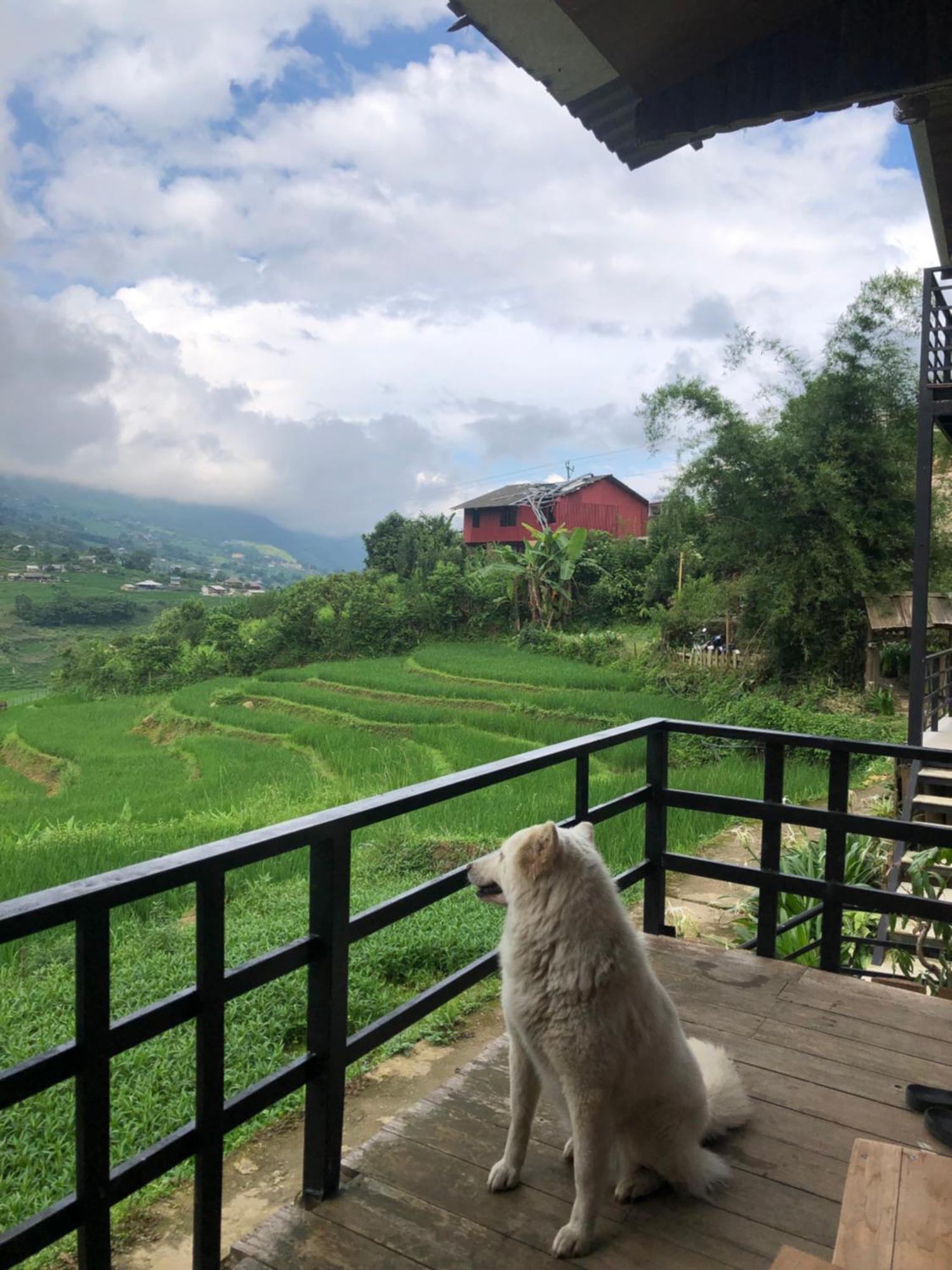 Hotel Plum Eco House