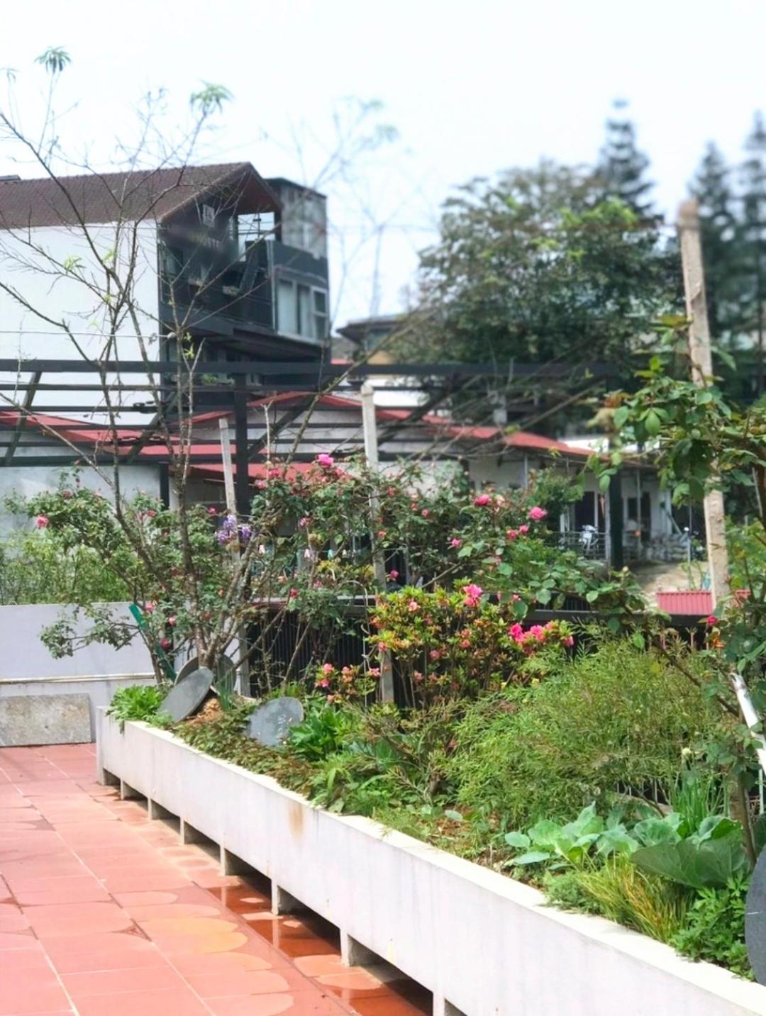 Apricot Garden 3*