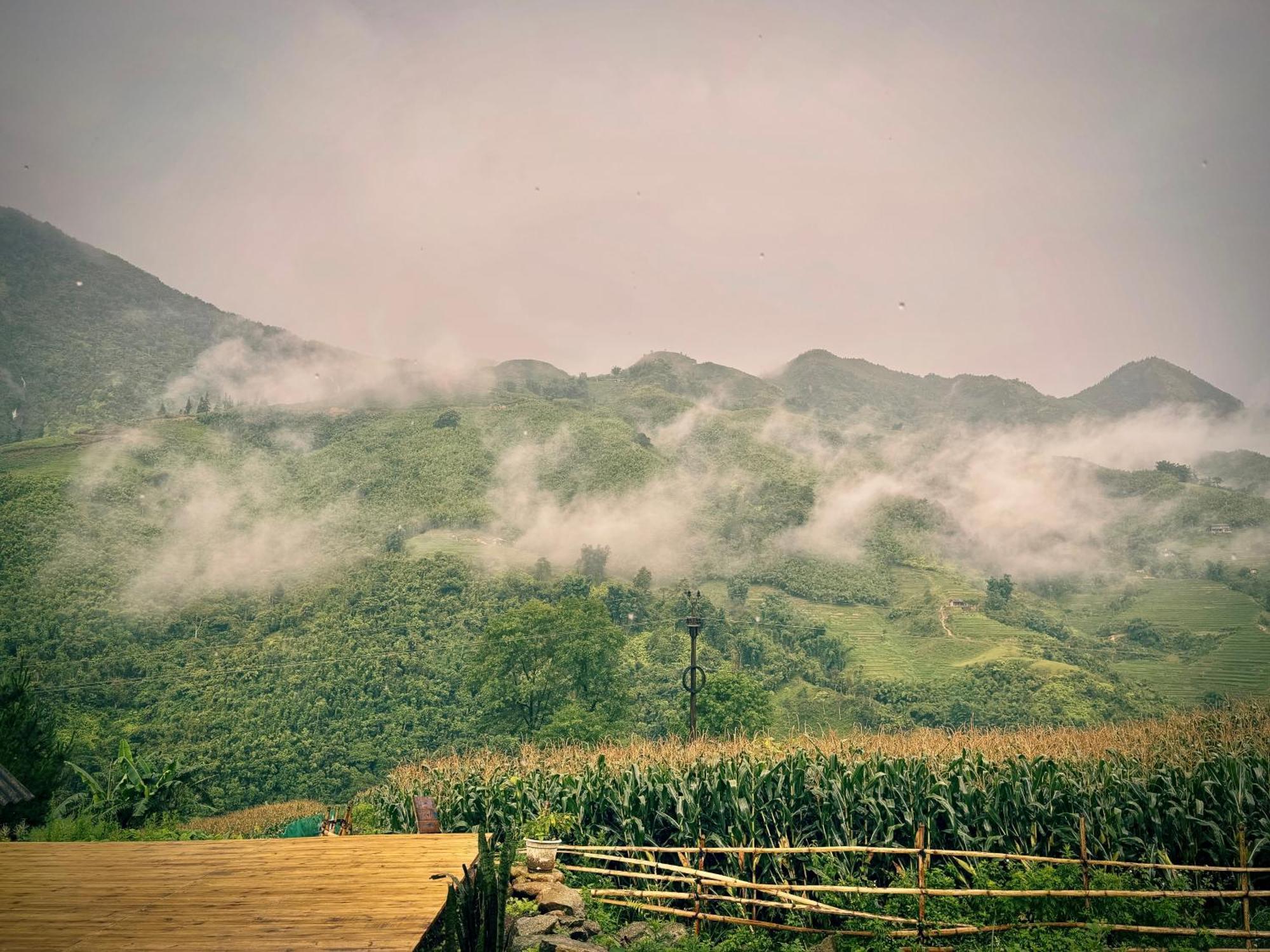 Tranquilla * Sapa