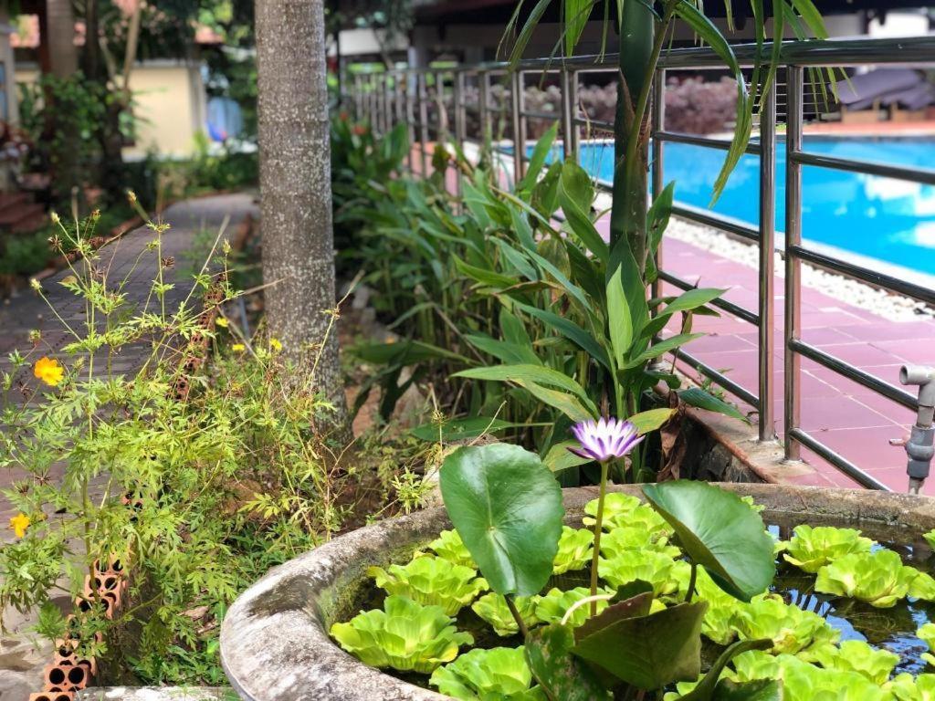 Castaways 2* Phu Quoc