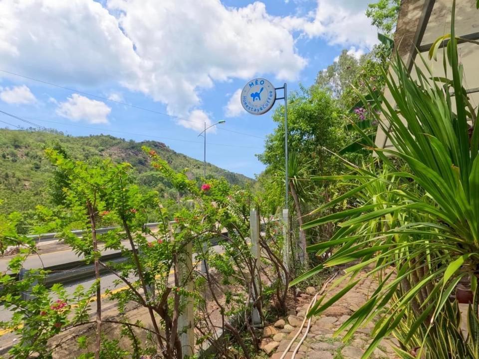Guest house Meo - Bui Cam Ranh