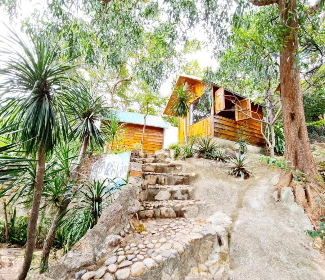 Guest house Meo - Bui