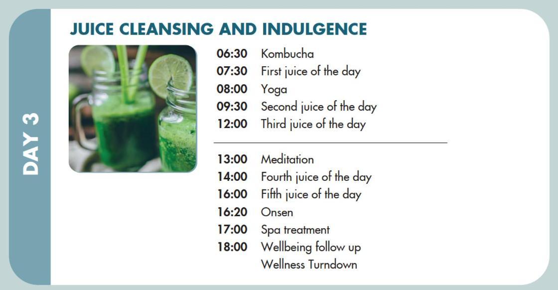 Alba Wellness By Fusion Resort