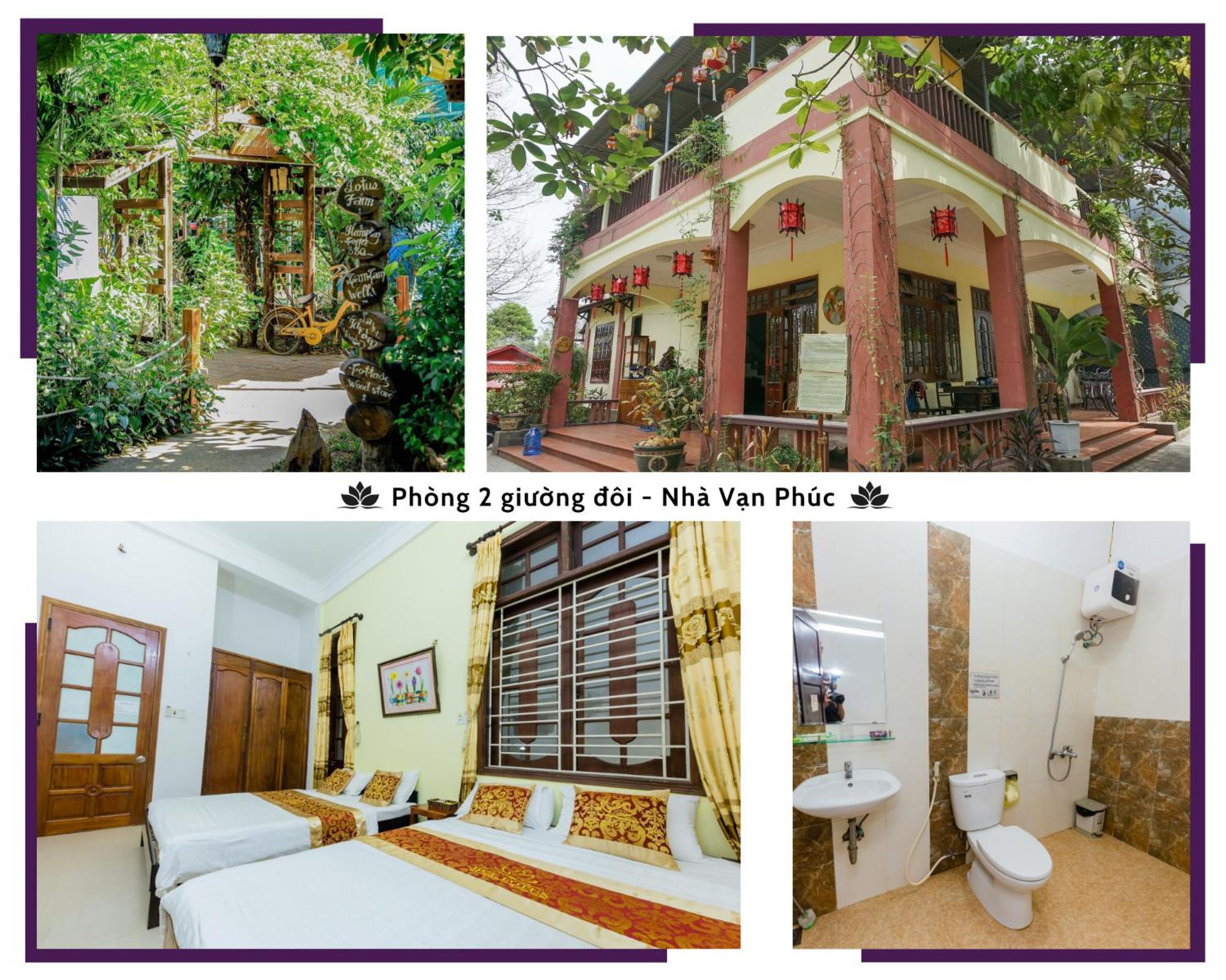 Hotel Lotus 2*