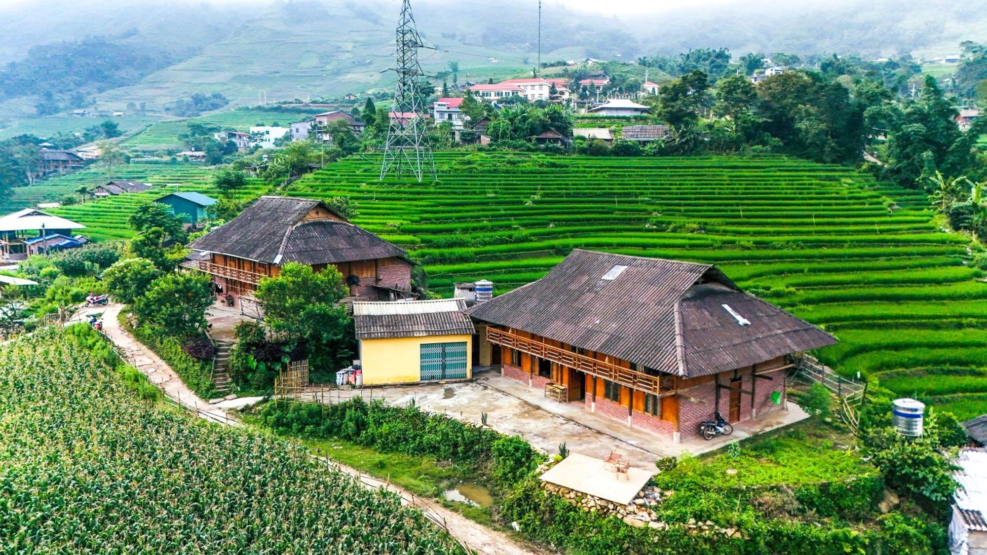Tranquilla * Sapa
