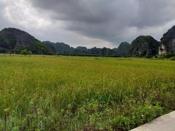 Homestay Tam Coc Riverside *