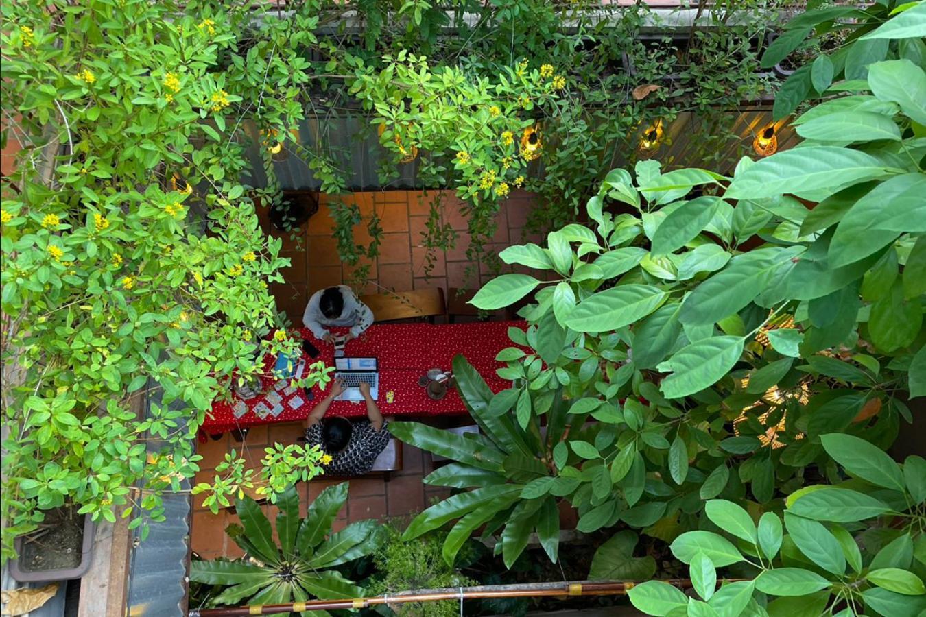 5-homestay I Vung Tau