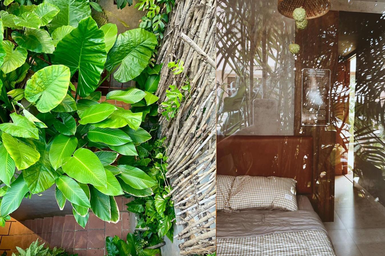 5-homestay I Guest house *