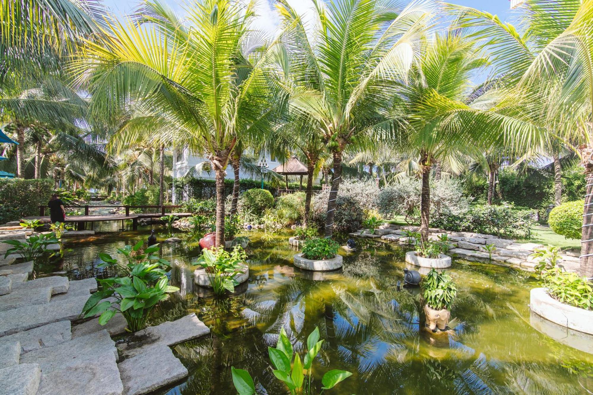 Resort Le Palmier