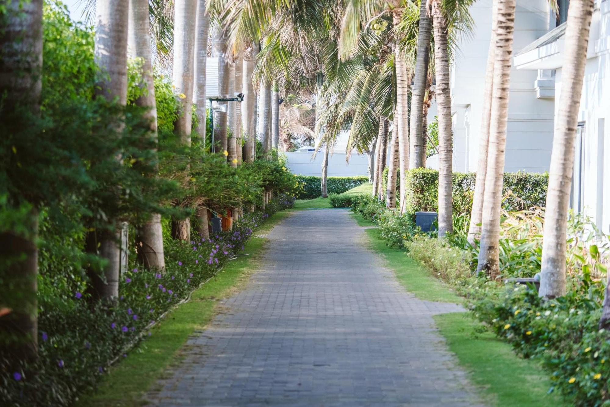 Le Palmier Resort