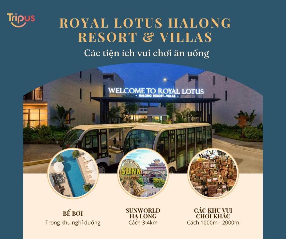 Royal Lotus 5 Bedroom Aparthotel
