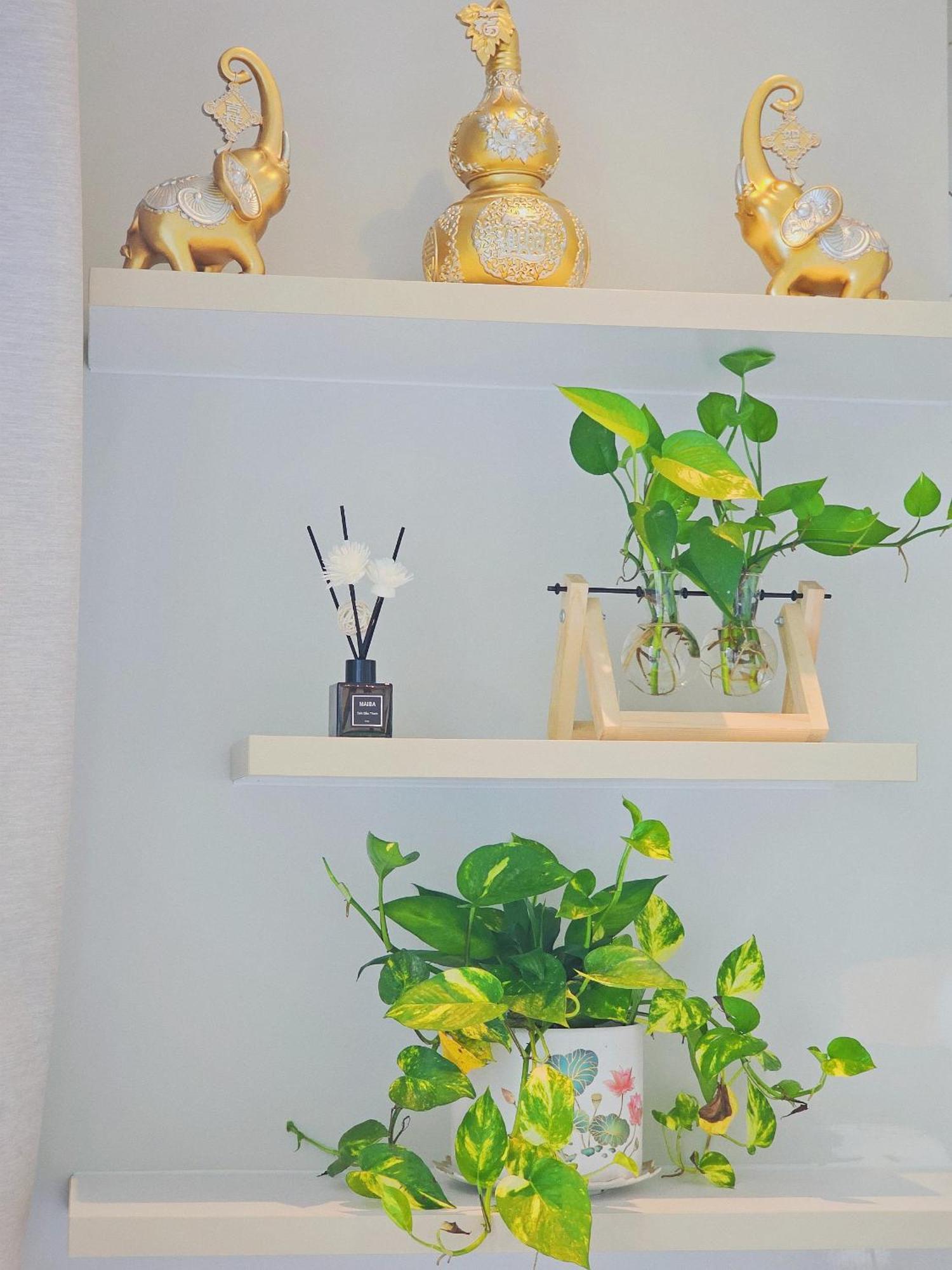 Apartment Happy'home Ha Long
