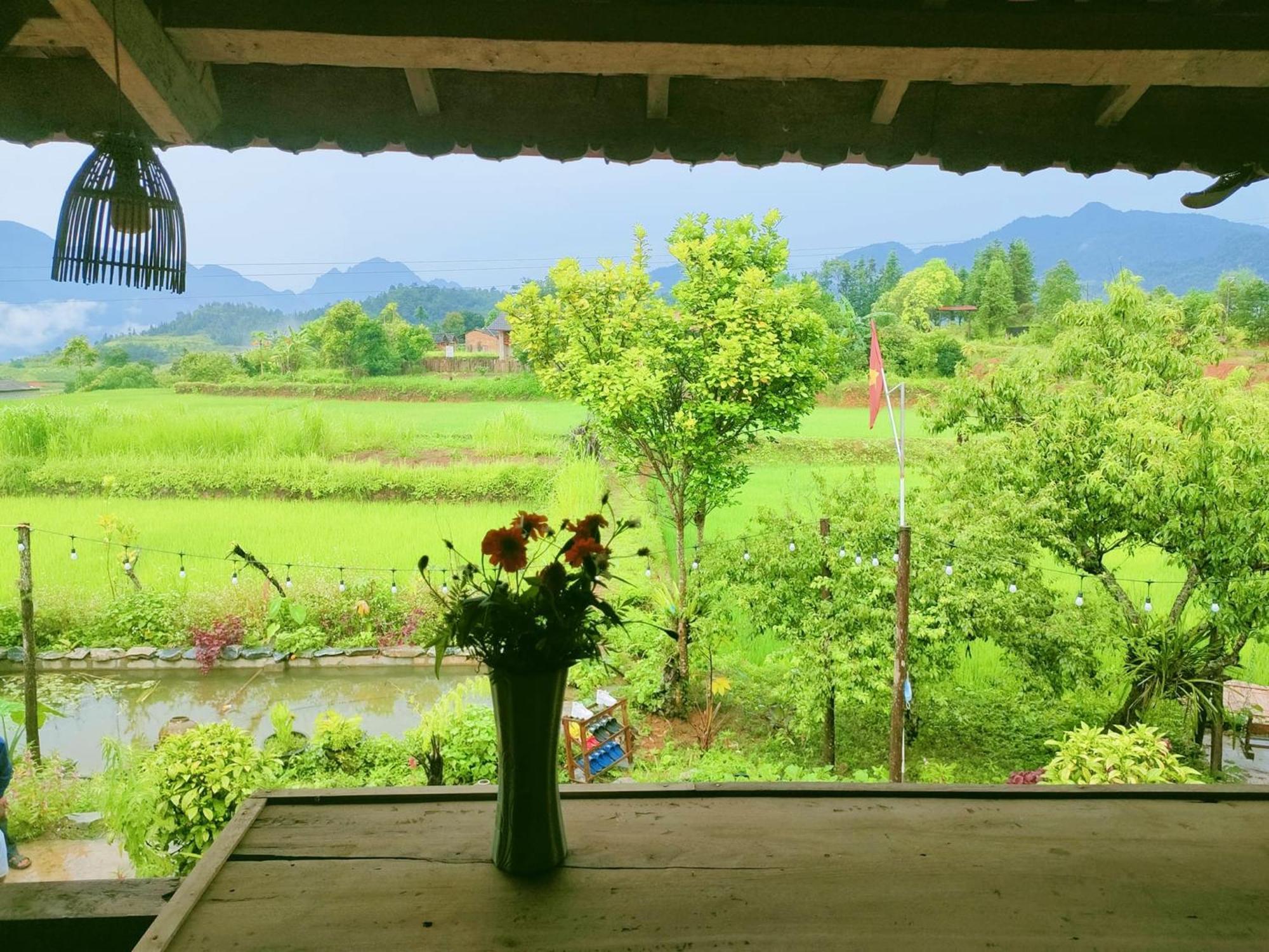 Don Dao Homestay
