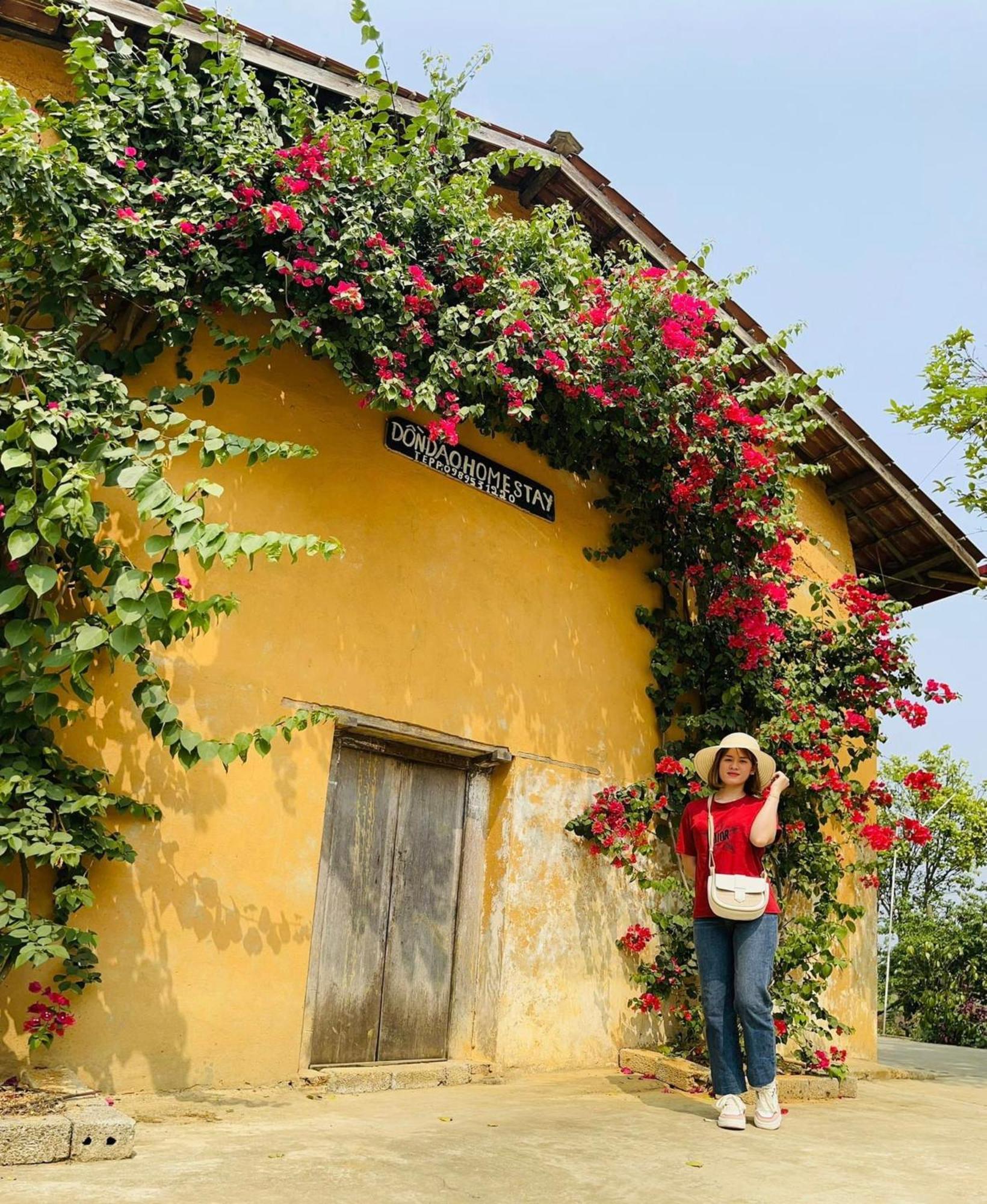 Don Dao Homestay *