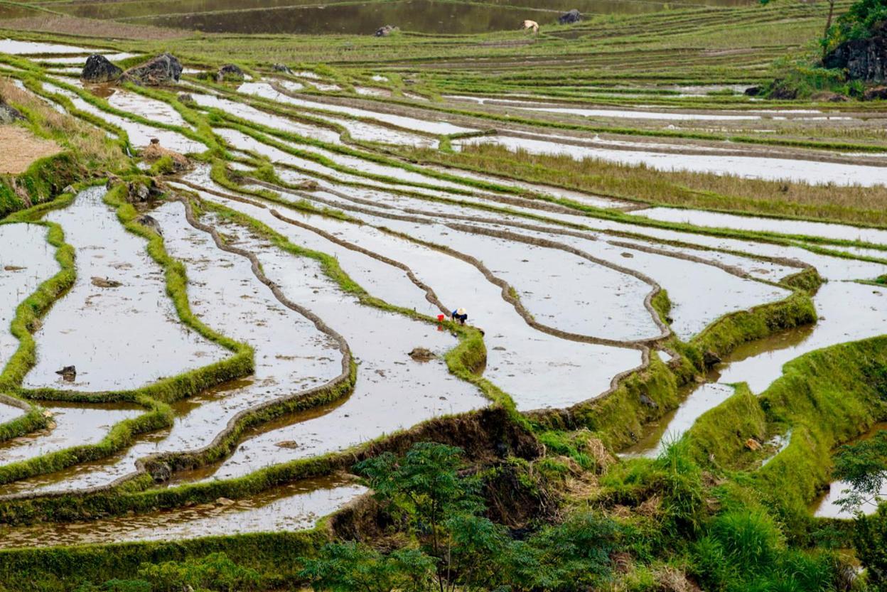 Oh Pu Luong Homestay Huong Ba Thuoc