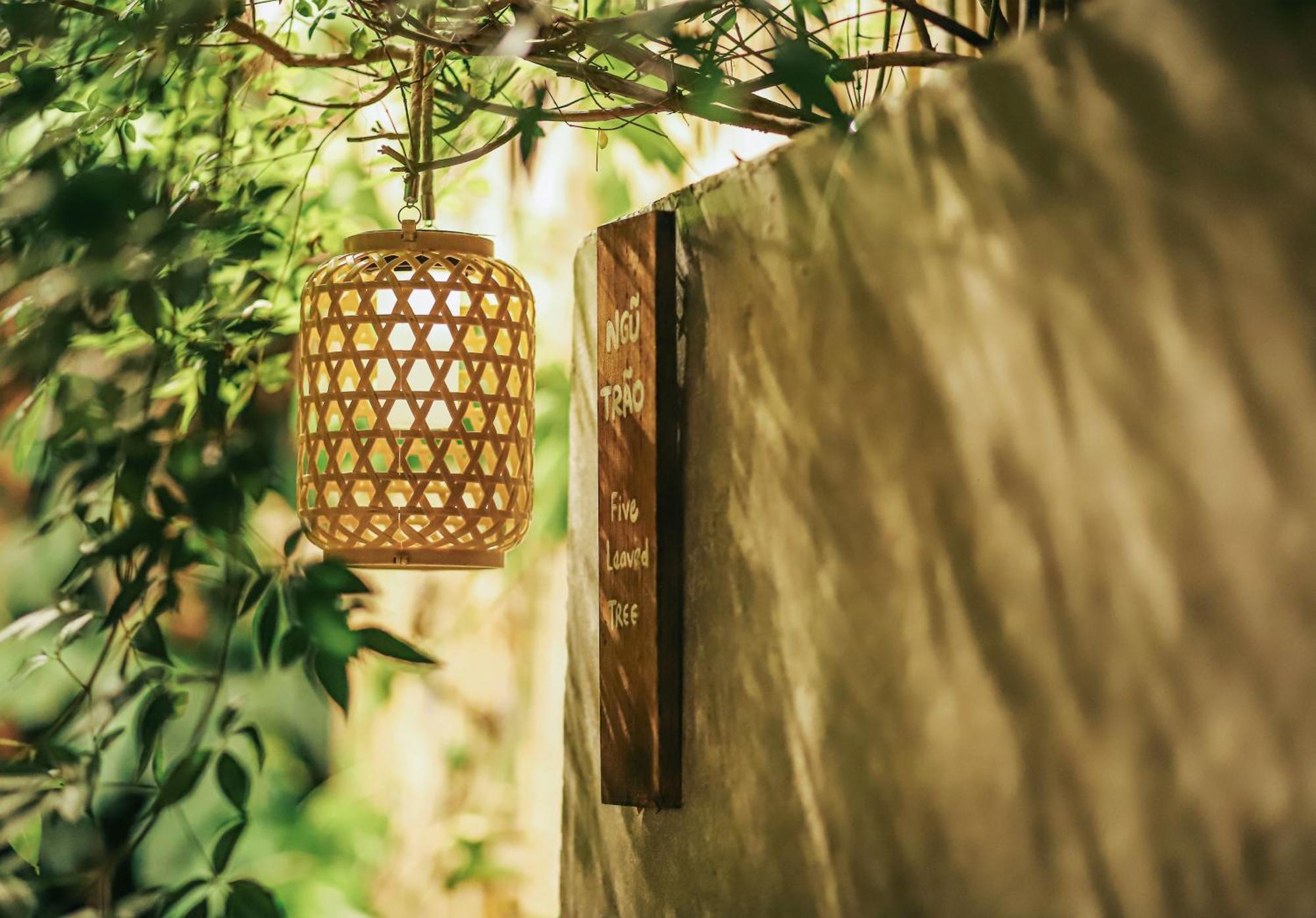 Guest house 5-homestay I Vung Tau