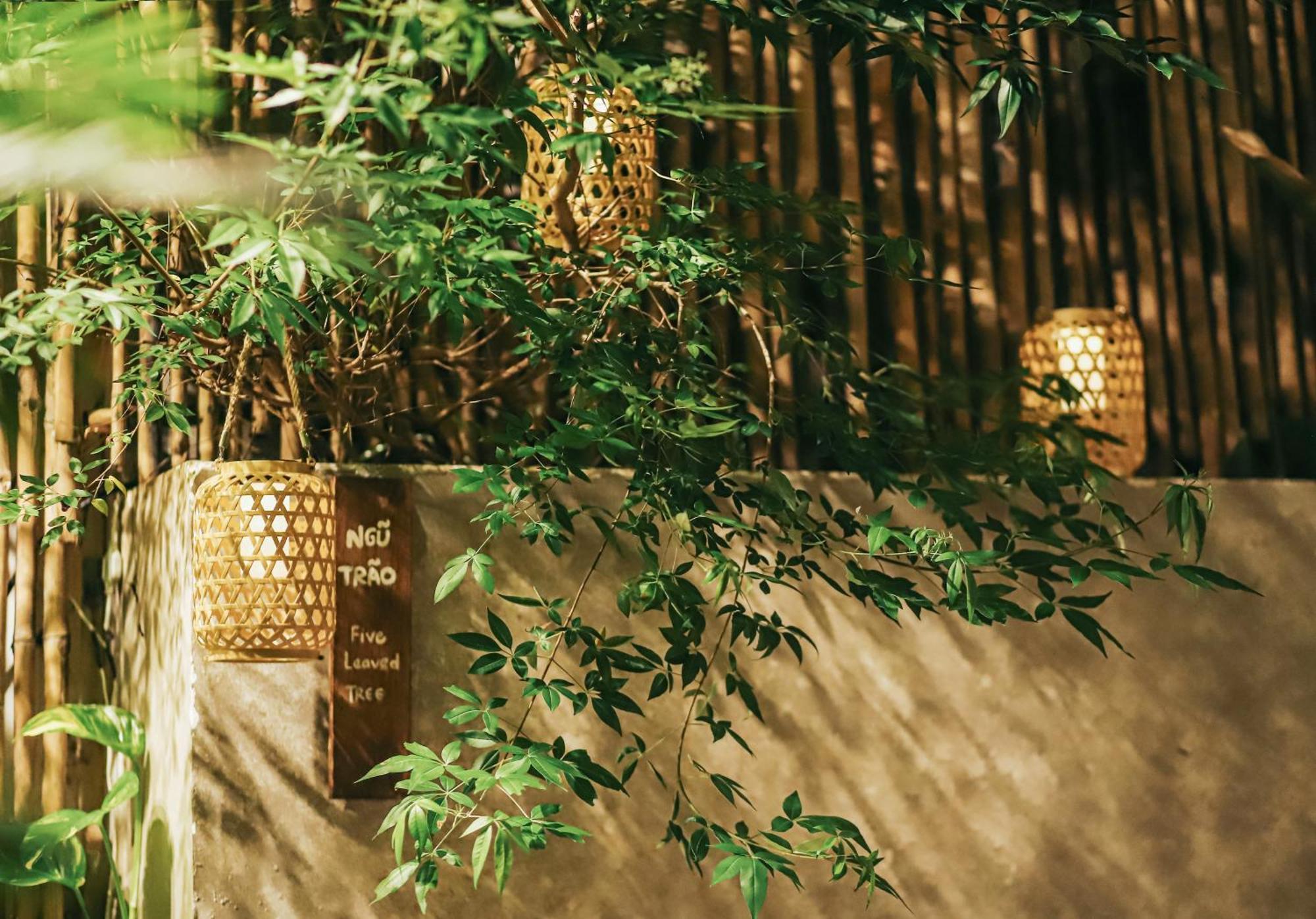 Guest house 5-homestay I Vung Tau