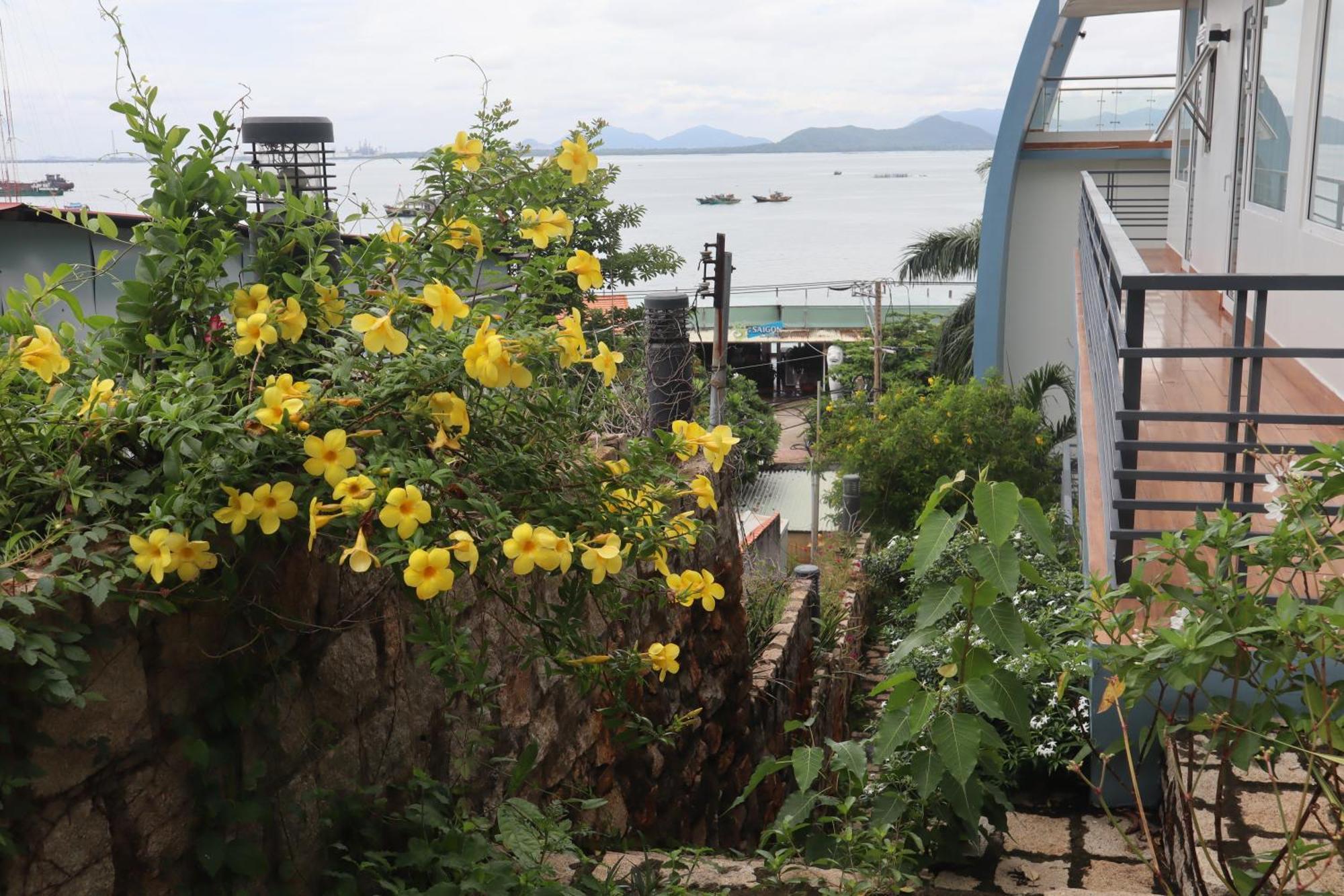 Cassabella & Vung Tau