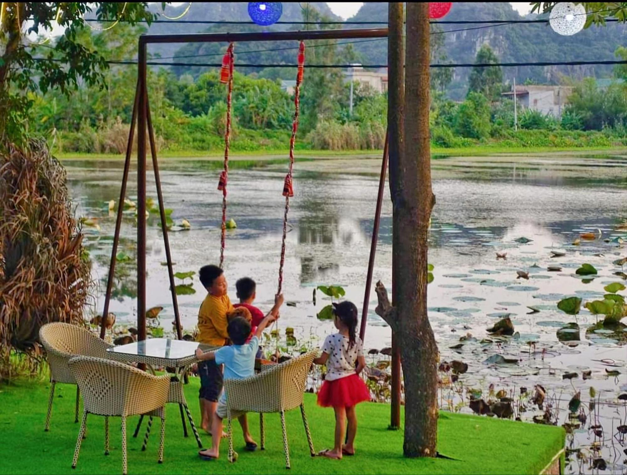 Trang An Lotus Ninh Binh