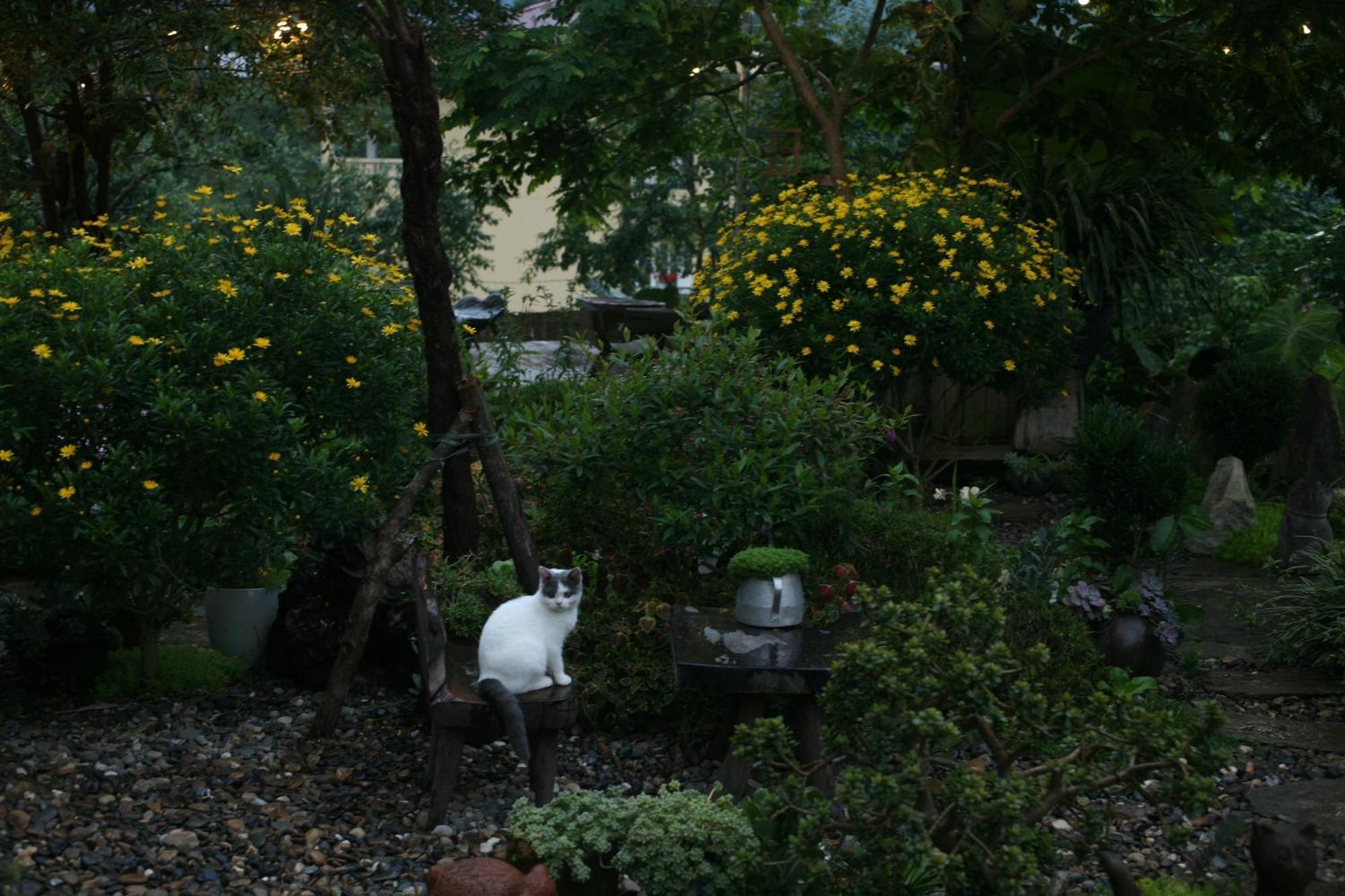 La Maison House & Country house *