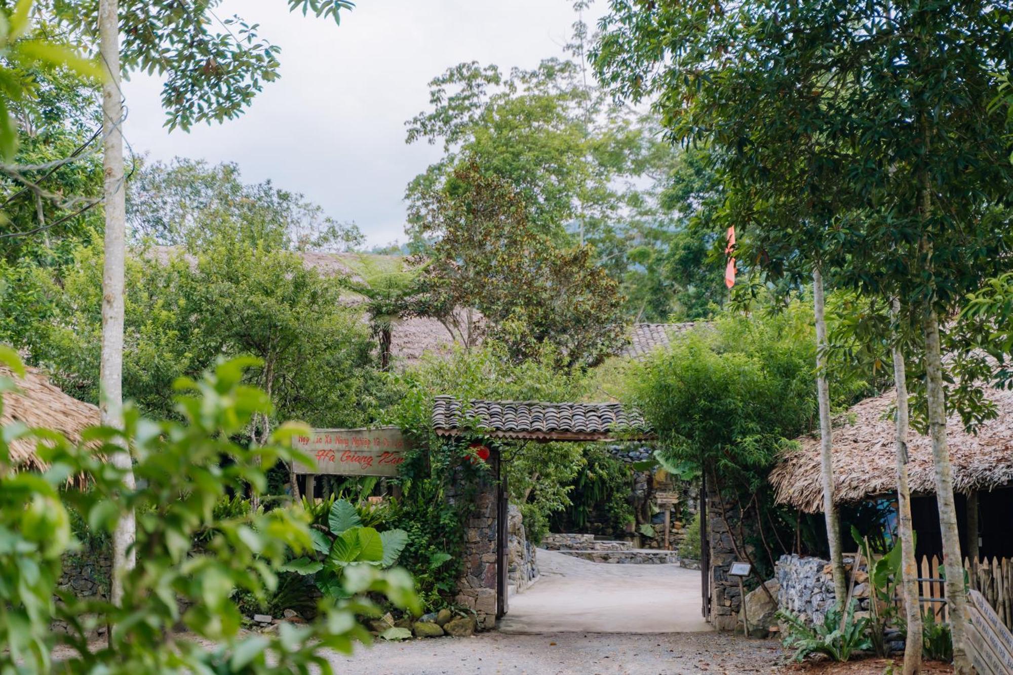 Xanh Retreat - Trekking, Tour, Motorbike